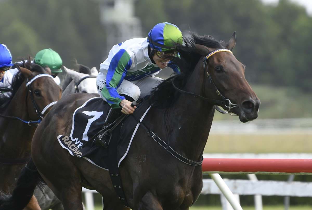 Smart win for progressive filly