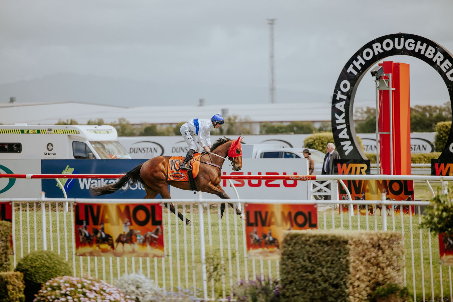 Waikato Thoroughbred Racing exploring Greenfield site options