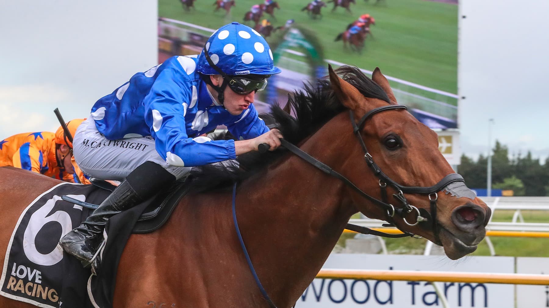 Stakes targets in the offing for Brave Spirit