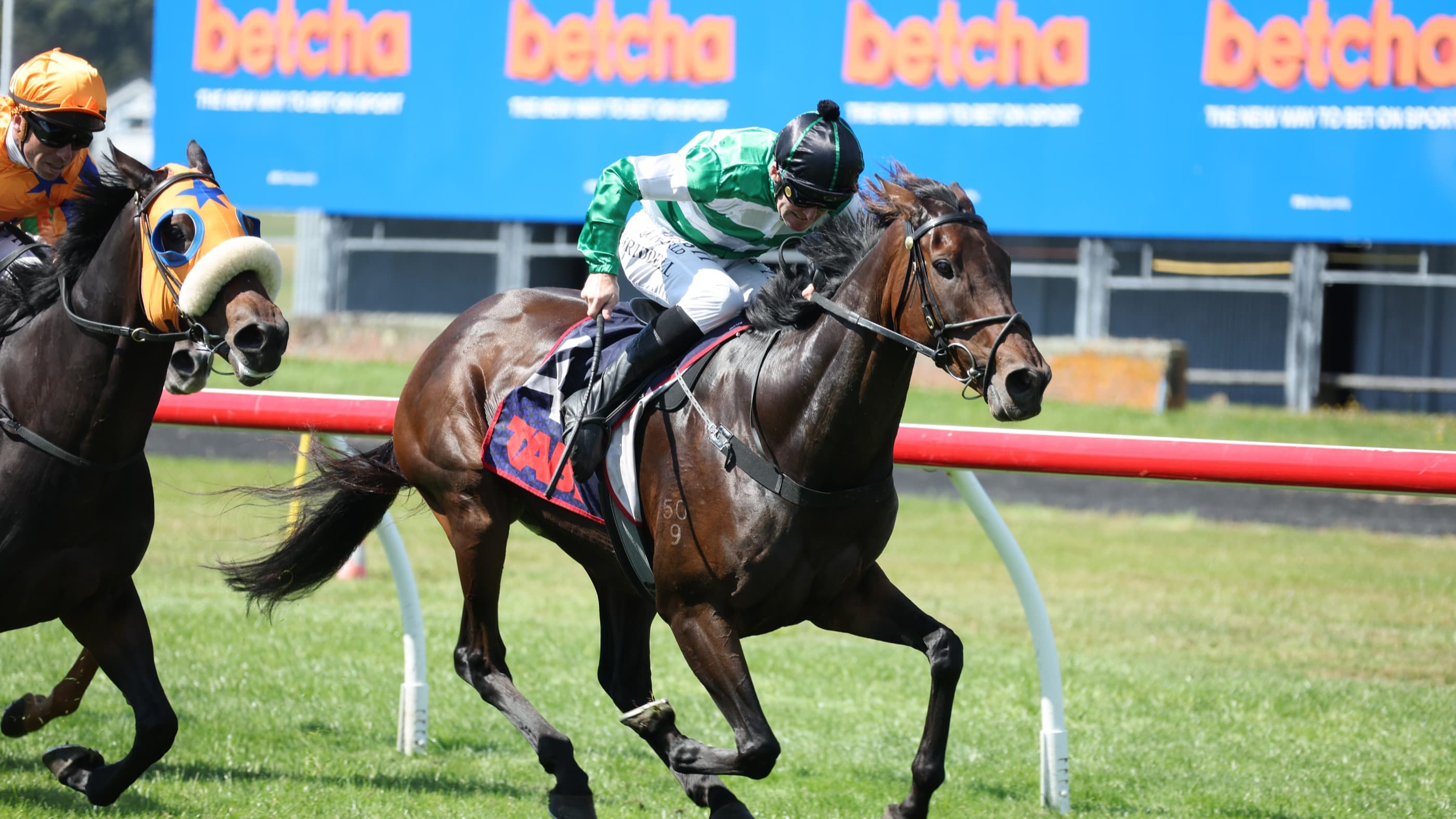 Breeder’s plan comes to fruition in Livamol