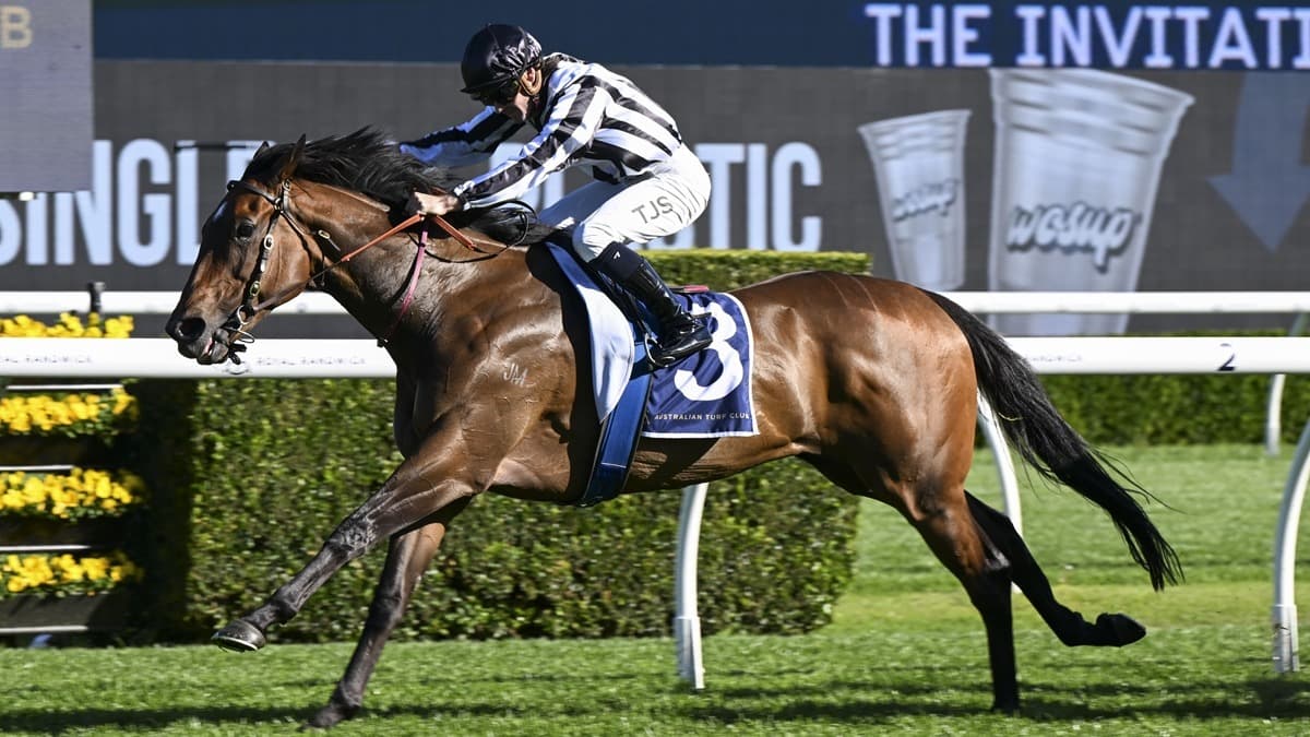 Belclare eyes more Ellerslie success at Sport Nation Otaki-Maori WFA Classic