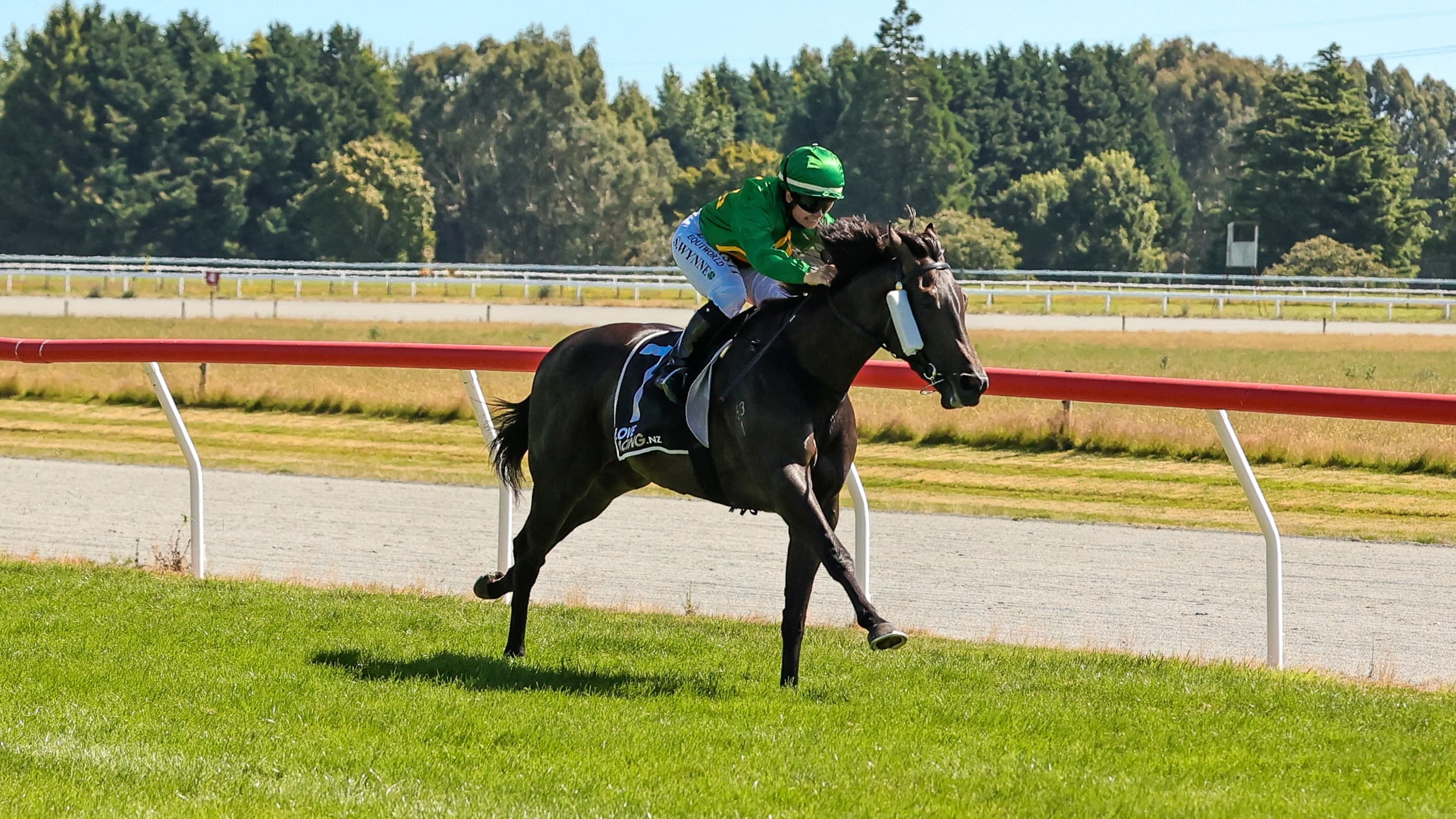 Pivotal Ten sensational in Gore Guineas romp