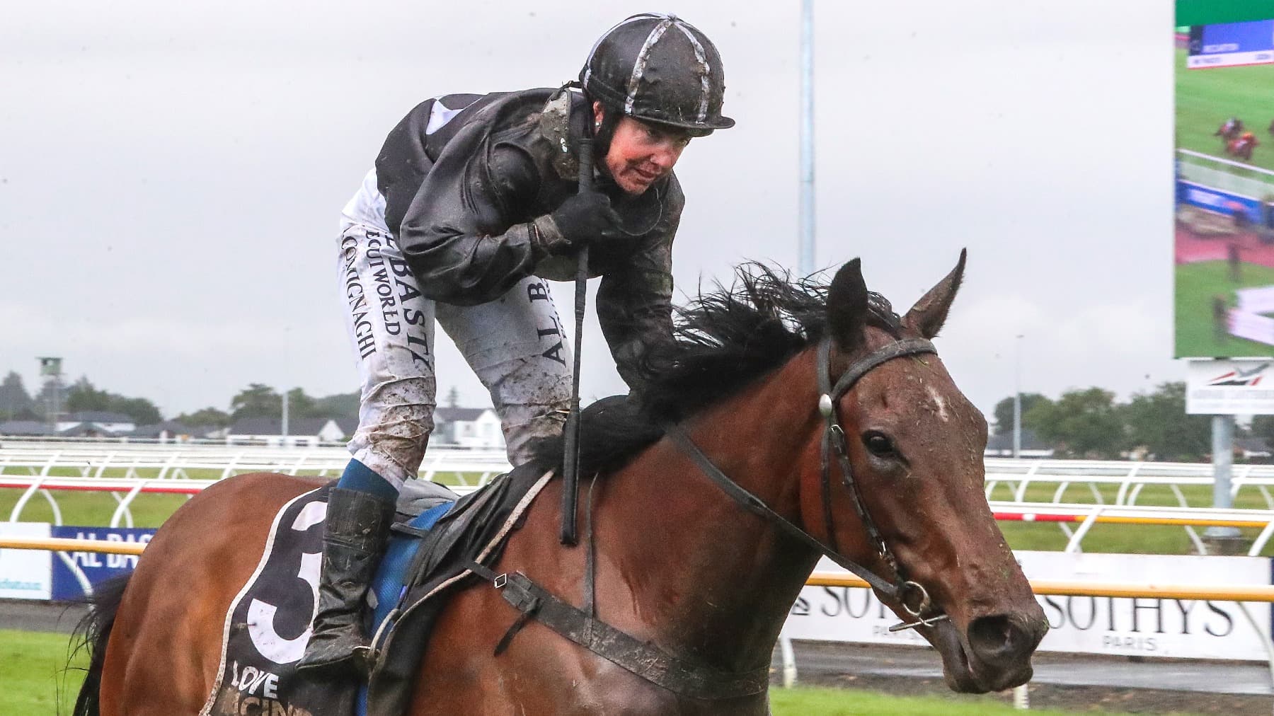 Bozo reigns supreme in gruelling New Zealand Cup