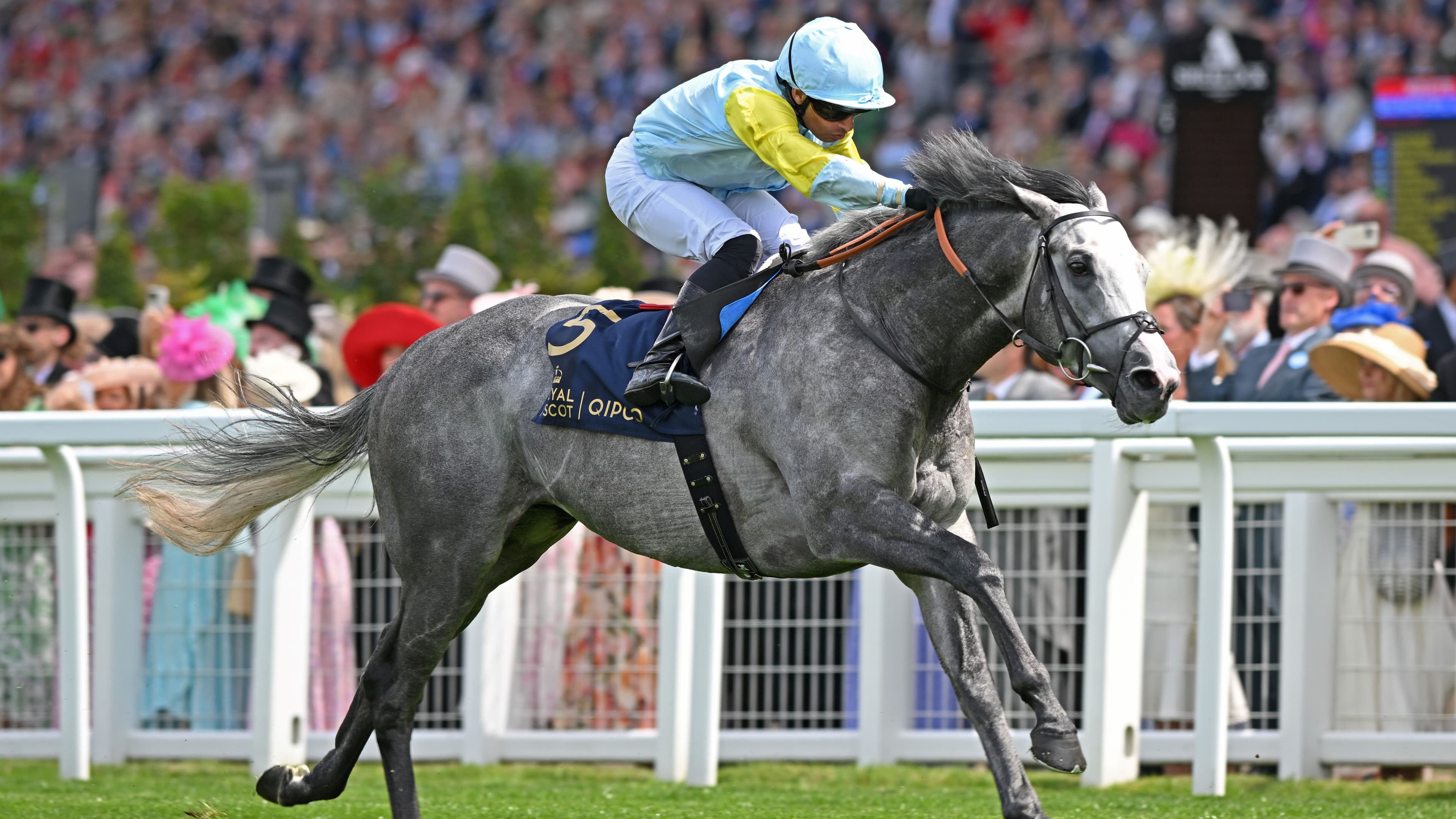Champion European Miler to bolster Cambridge Stud’s stallion roster