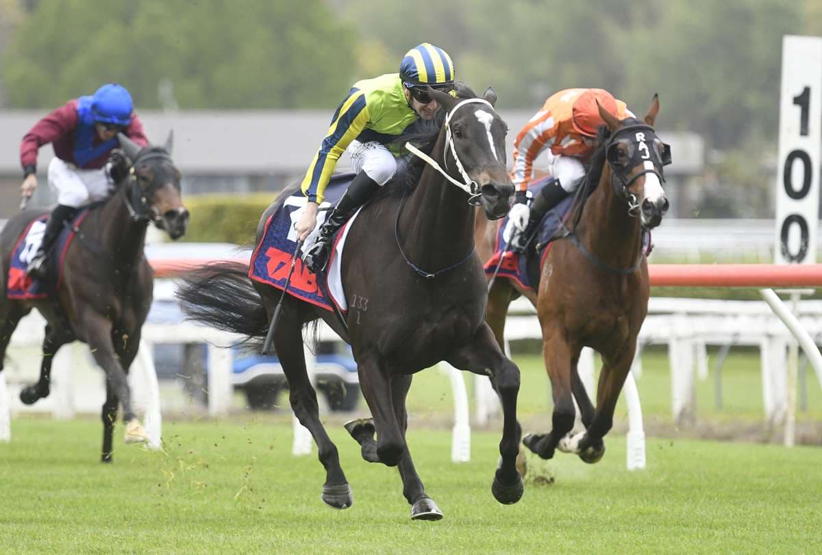 Quality filly strengthens trainer’s Guineas hand