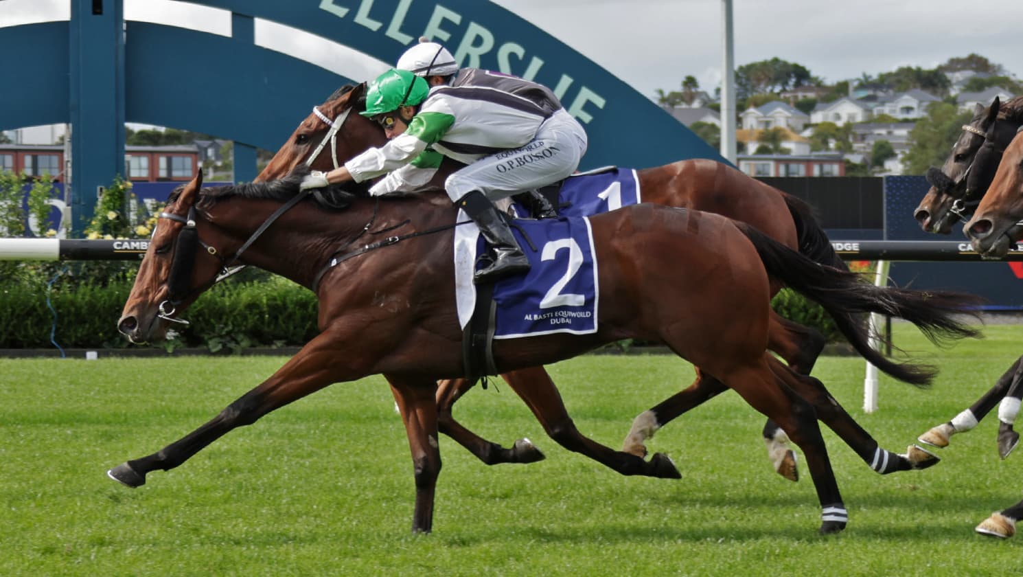 Easter Handicap next for Cannon Hill