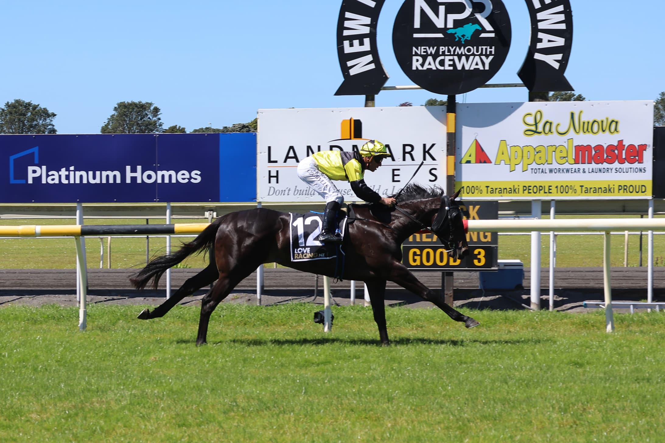 Derryn filly gives Patterson déjà vu