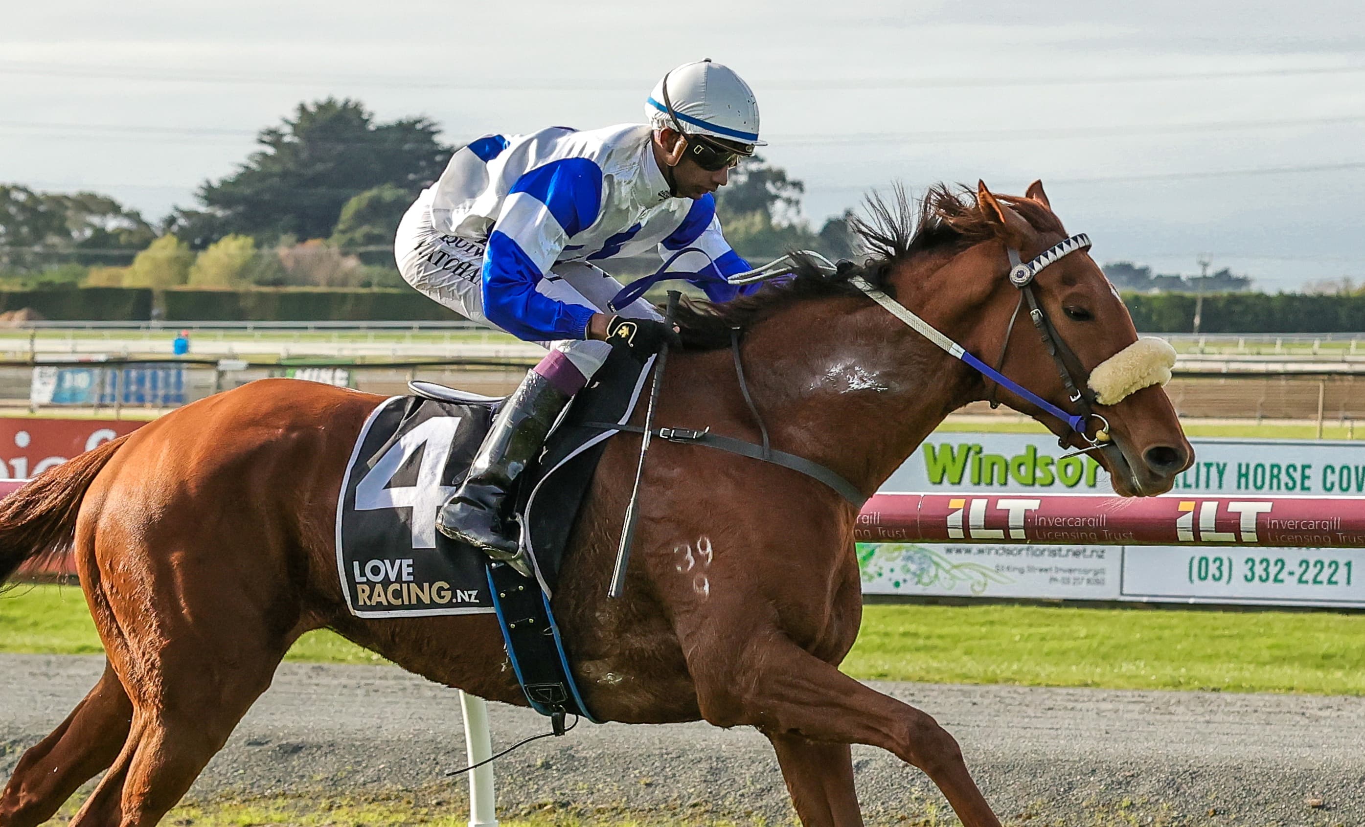 Dickson seeking morale-boosting win with A Mandarin