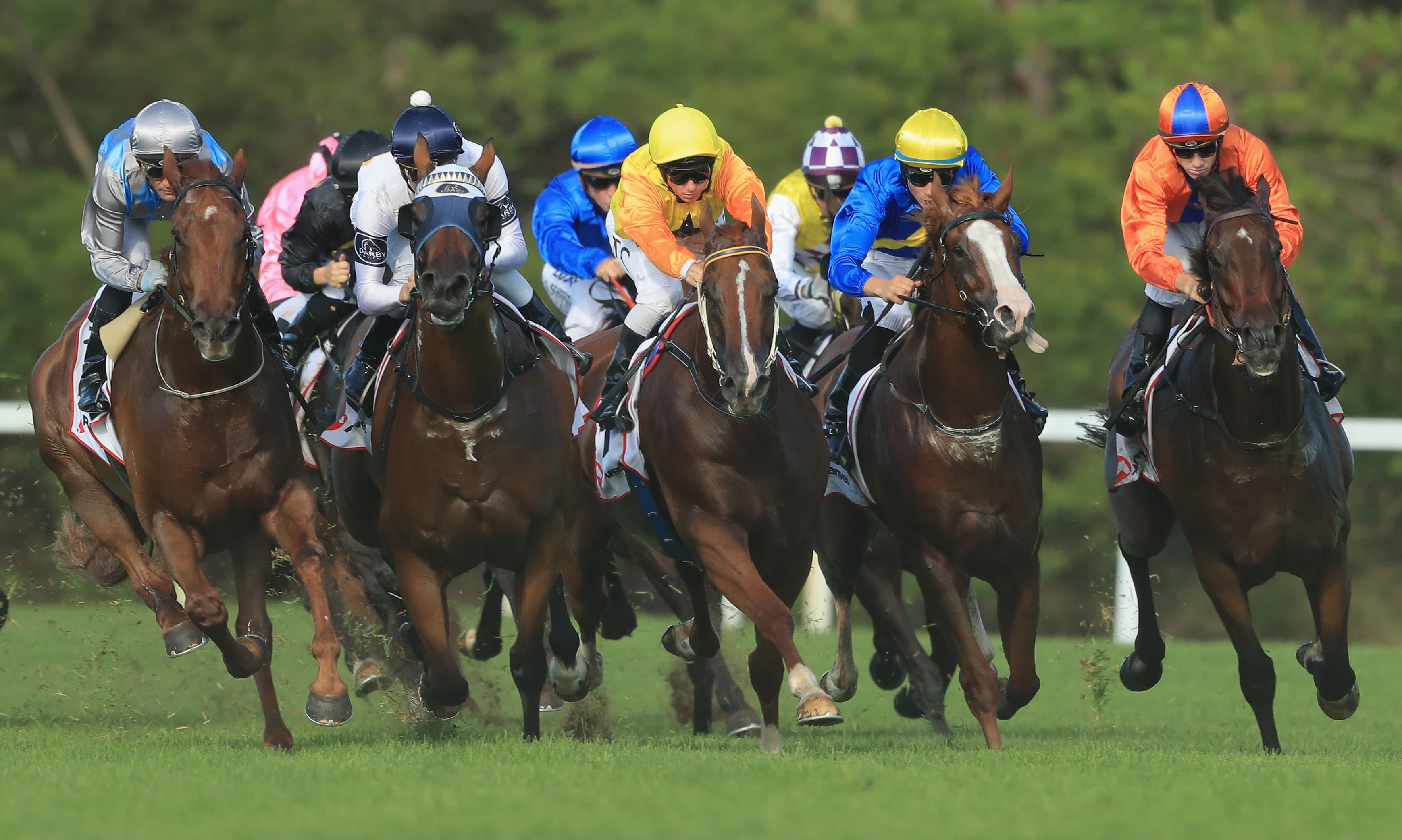 SENTrack: Wednesday best bets at Caulfield Heath, Port Lincoln, Warwick Farm & Ipswich (18/12)
