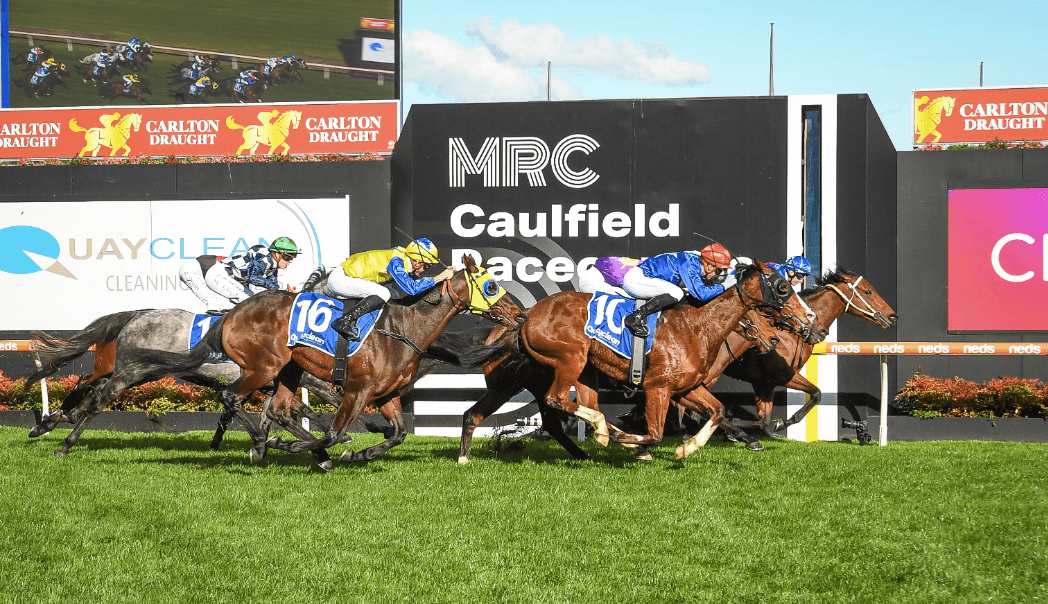 40° forecast forces early Caulfield start