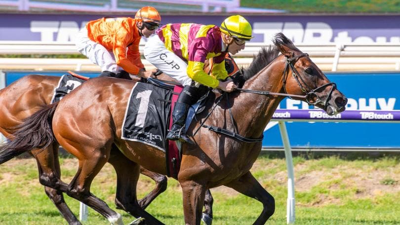 Numerian in perfect order to defend Van Heemst crown