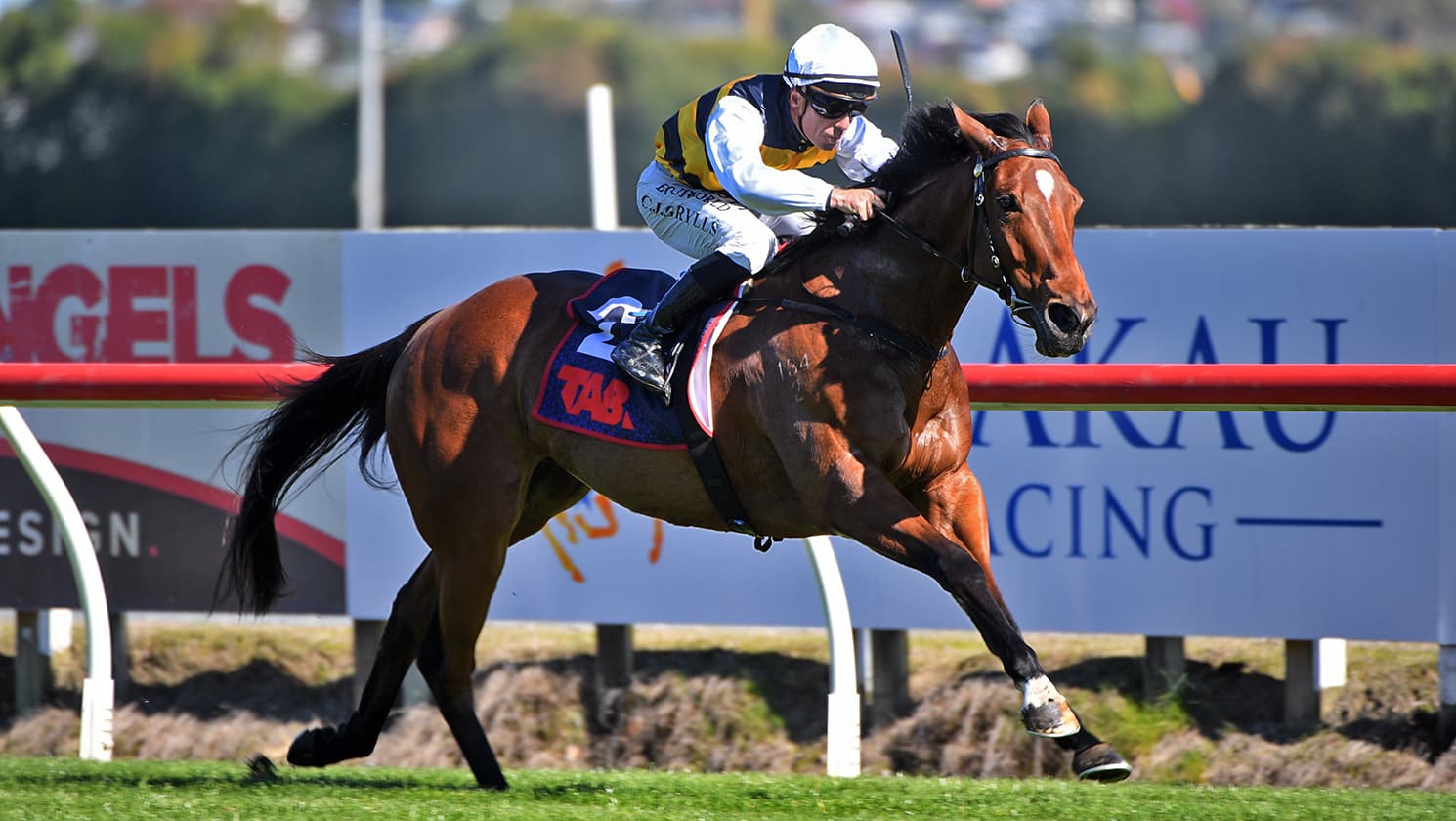 Single Red makes pleasing start to Queensland campaign