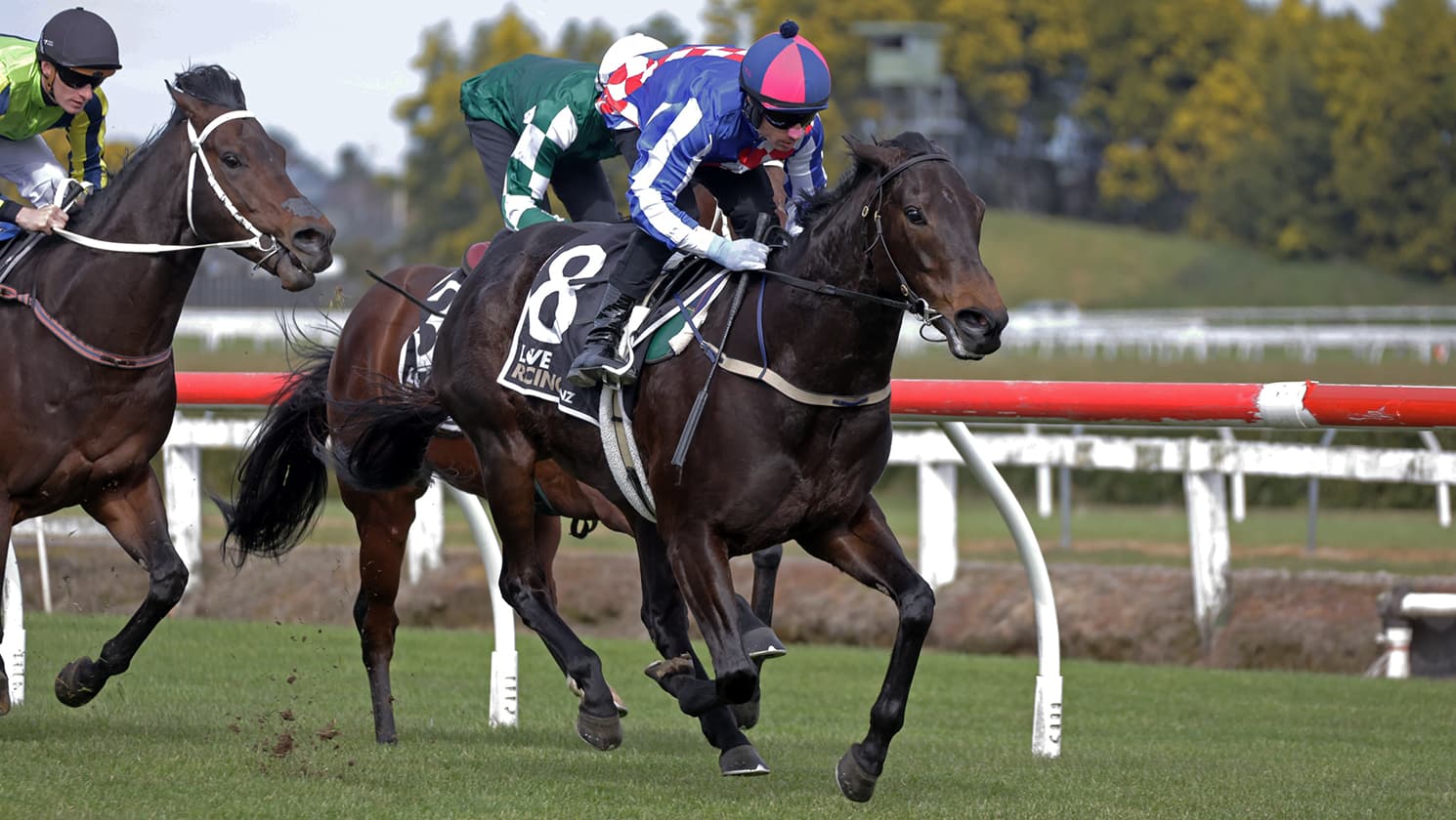 Alabama Lass on track for Foxbridge Plate