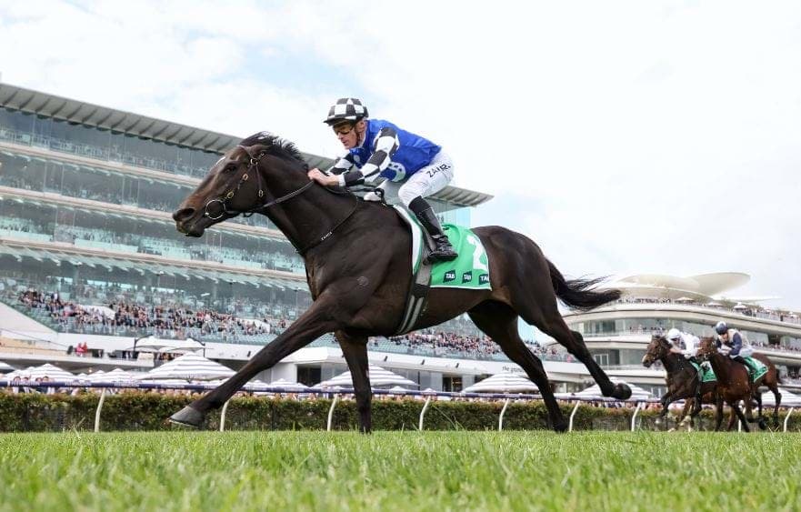 The import that reminds Maher of Melbourne Cup winner