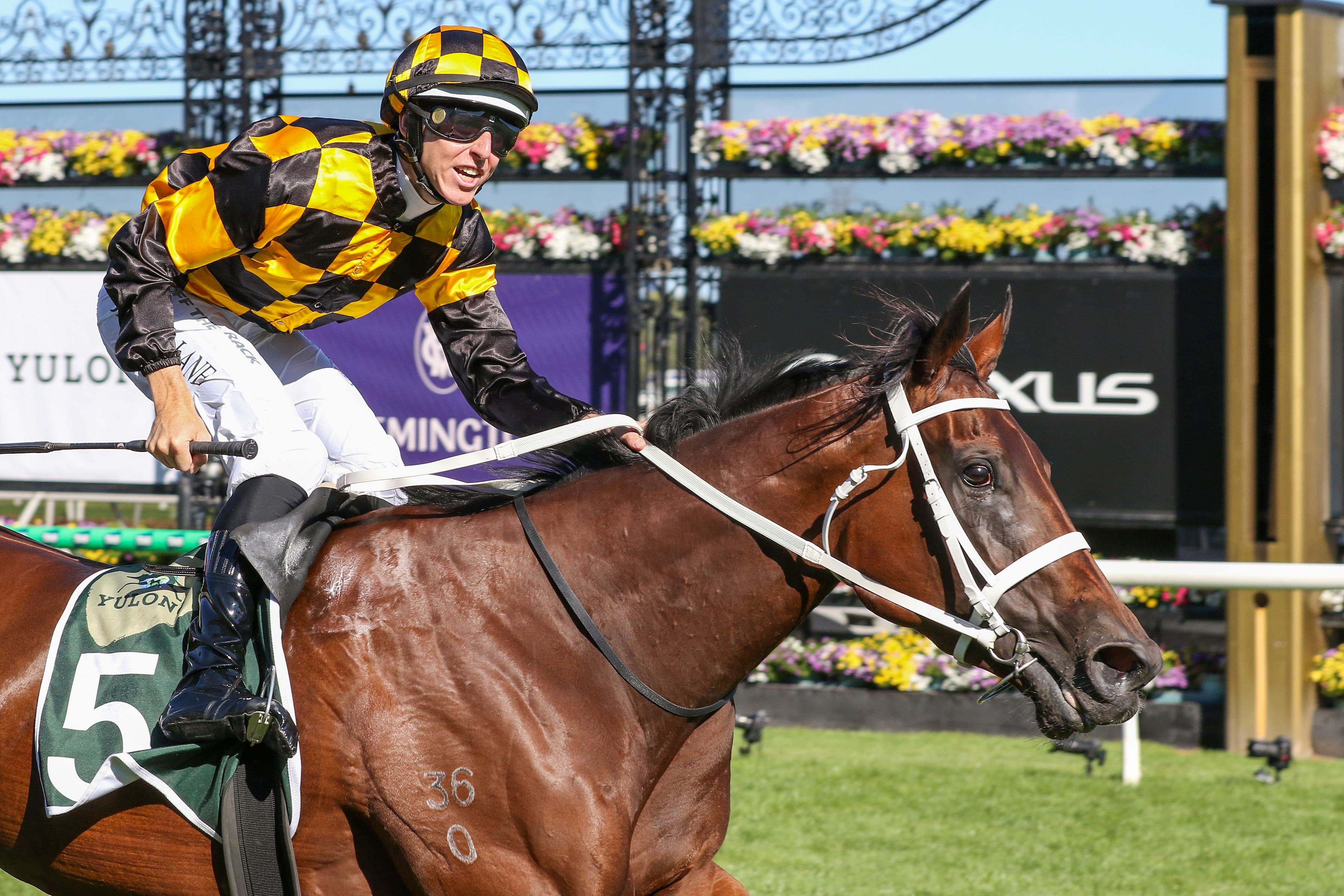 Joliestar gets green tick ahead of marathon flight