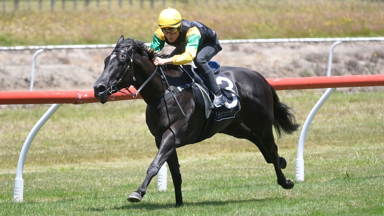 Forsman pleased with Tauranga trial result