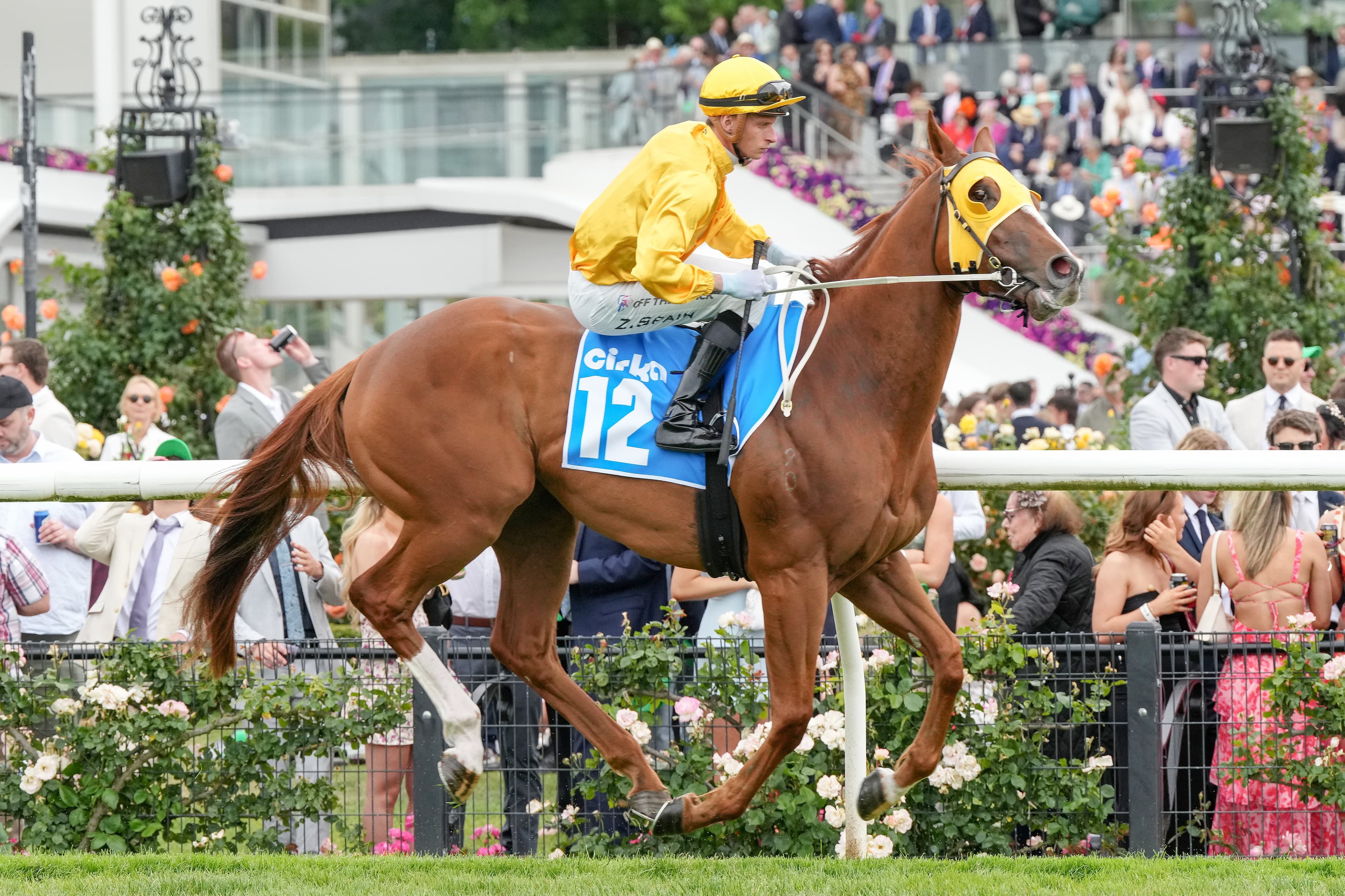 âWeâve told the ownersâ: Strong push for $20 chance at Flemington