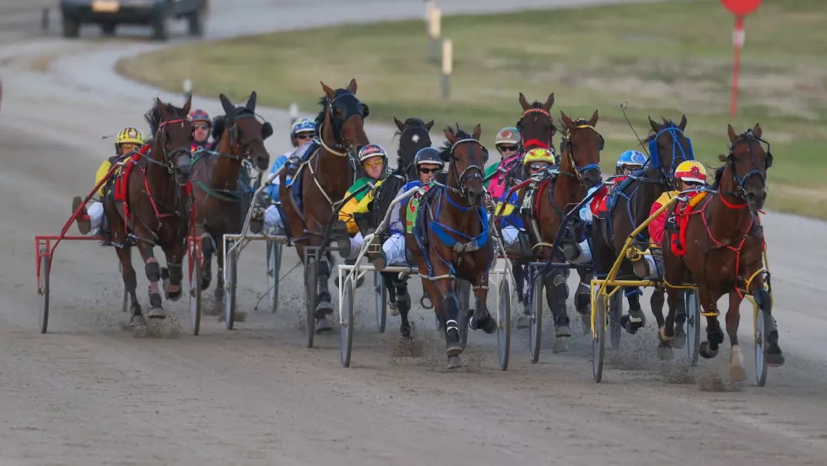 SEN Track: Tim O'Connor's Friday night Harness Racing Tips at Terang (14/02)