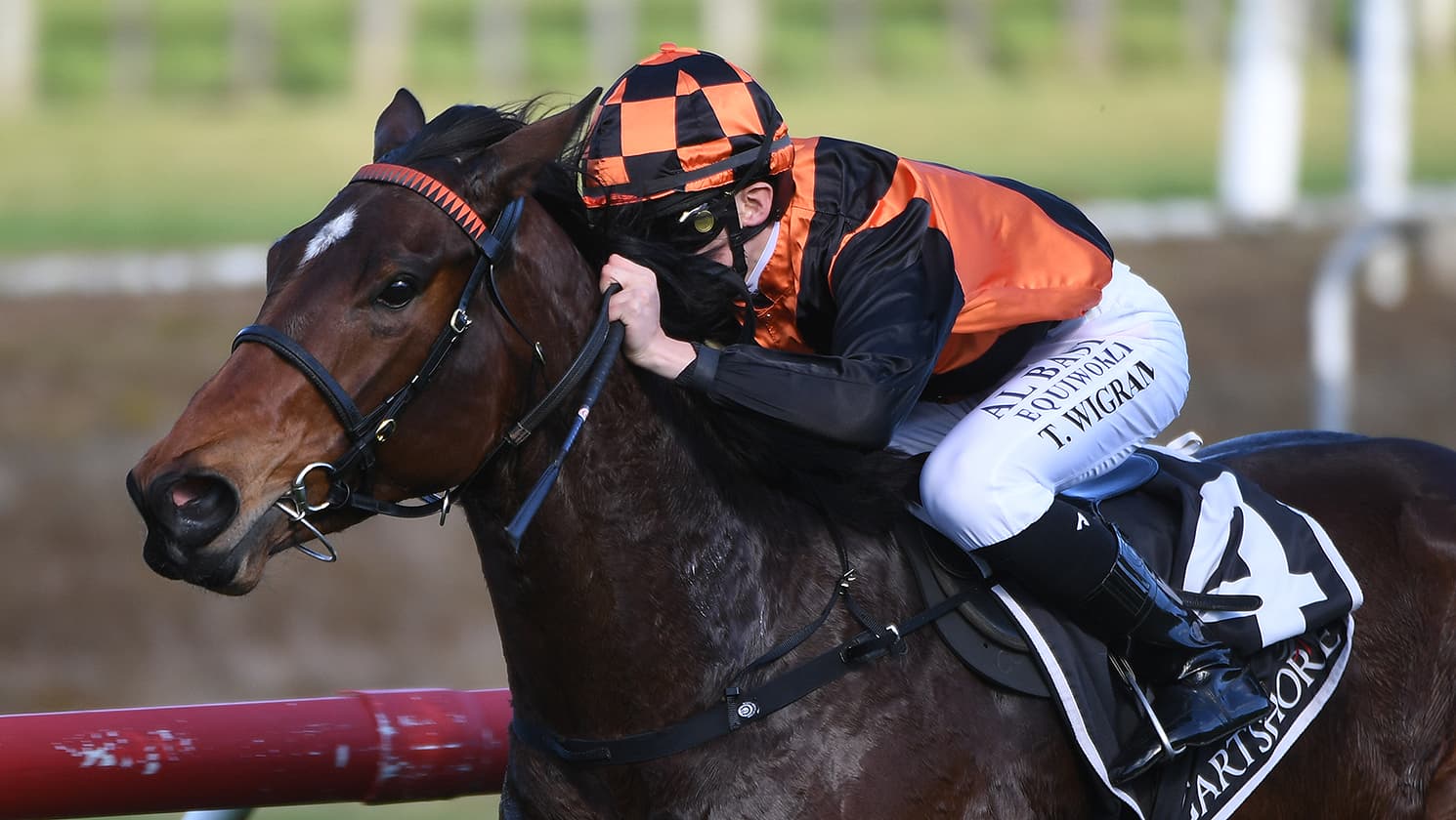 Flying filly dominates her Tauranga opposition