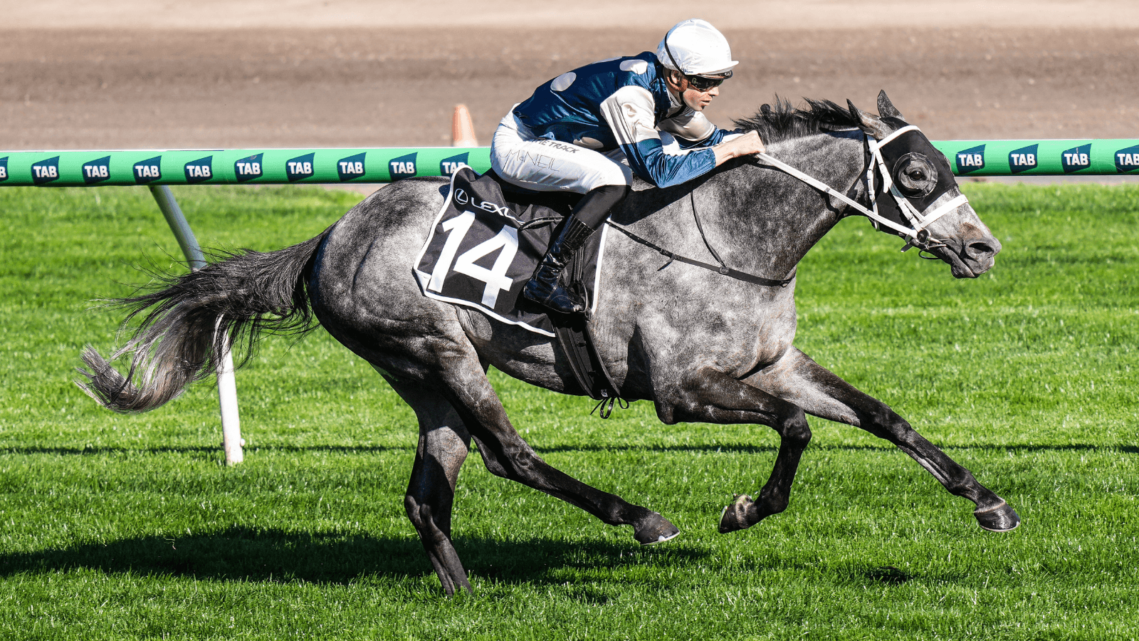 Owner’s favourable and brutal Melbourne Cup calls