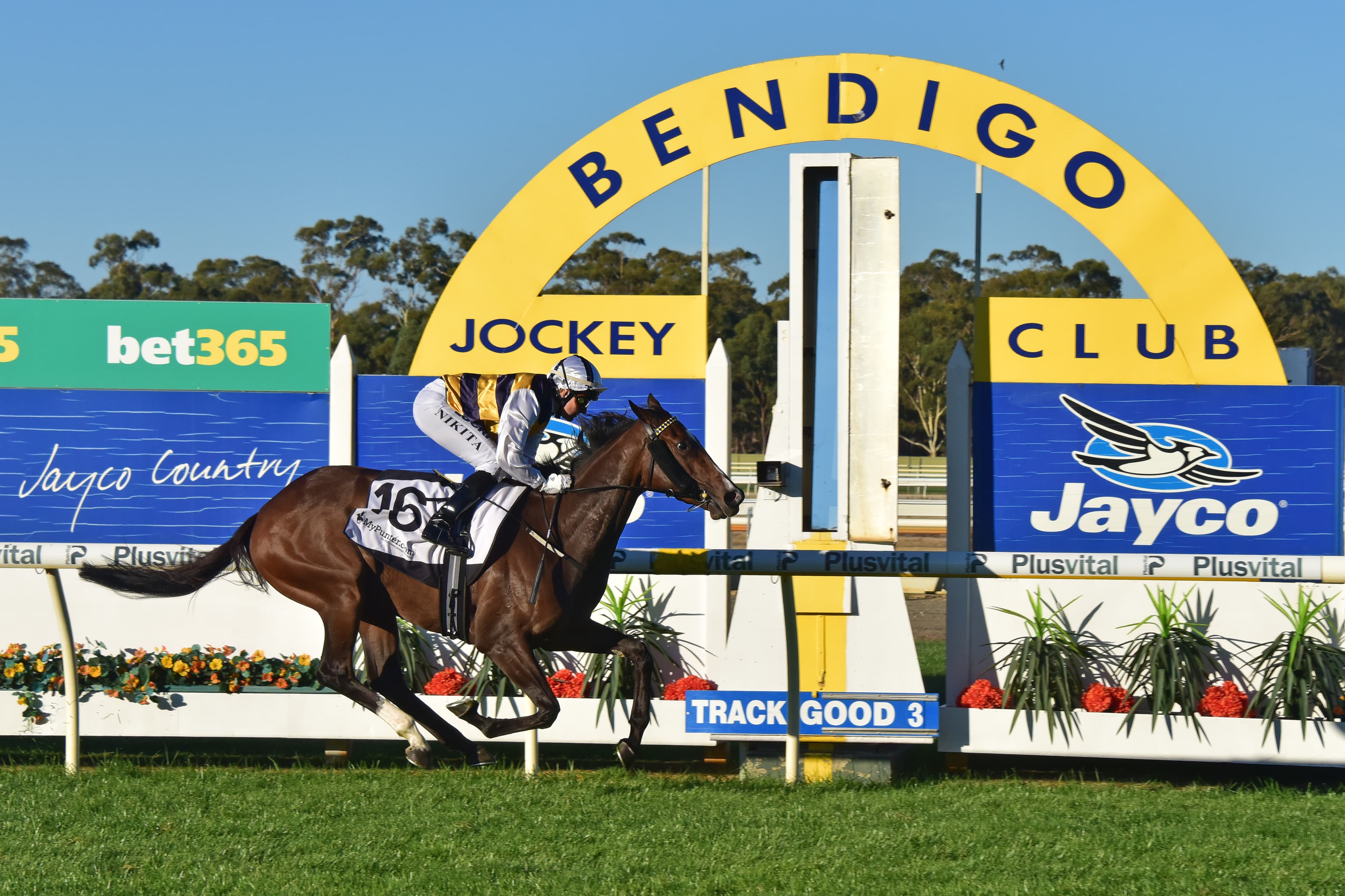 Correct Weight: Nick Noonan’s Sunday best bets (05/10)