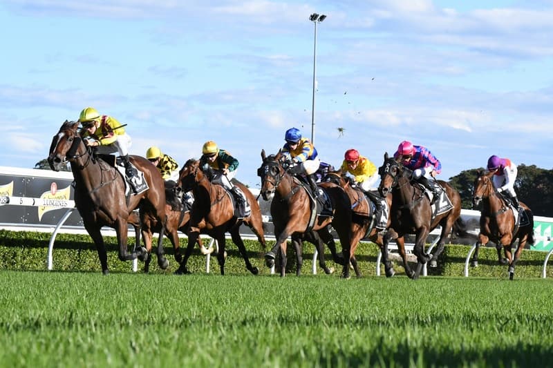 Chris Nelson's Saturday best bets at Doomben (29/11)