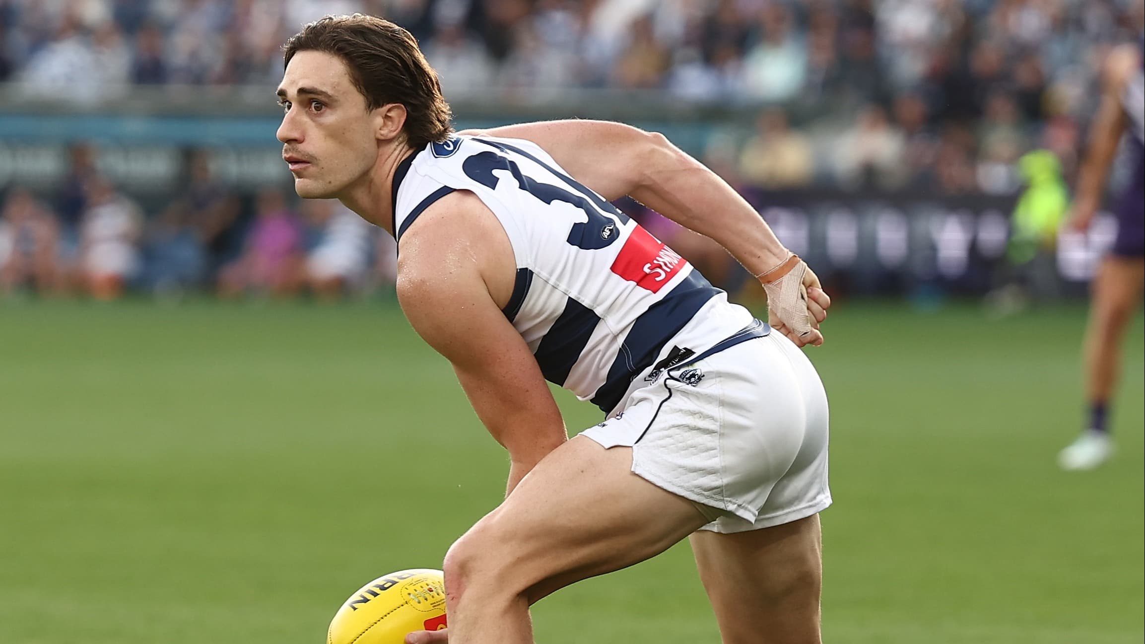 Cat's season alive after avoiding ACL surgery