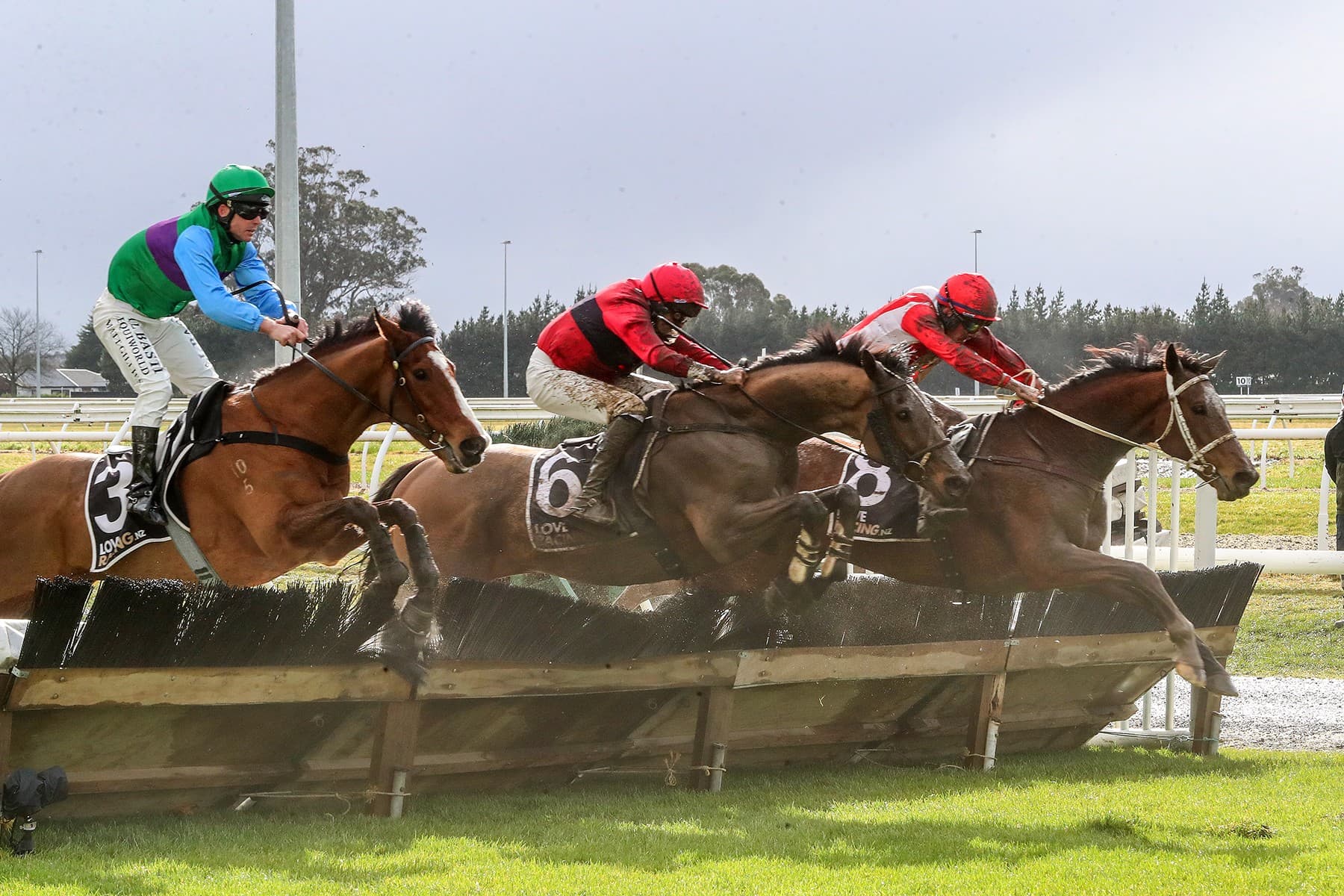 Suliman takes Grand National Hurdles in dramatic finish