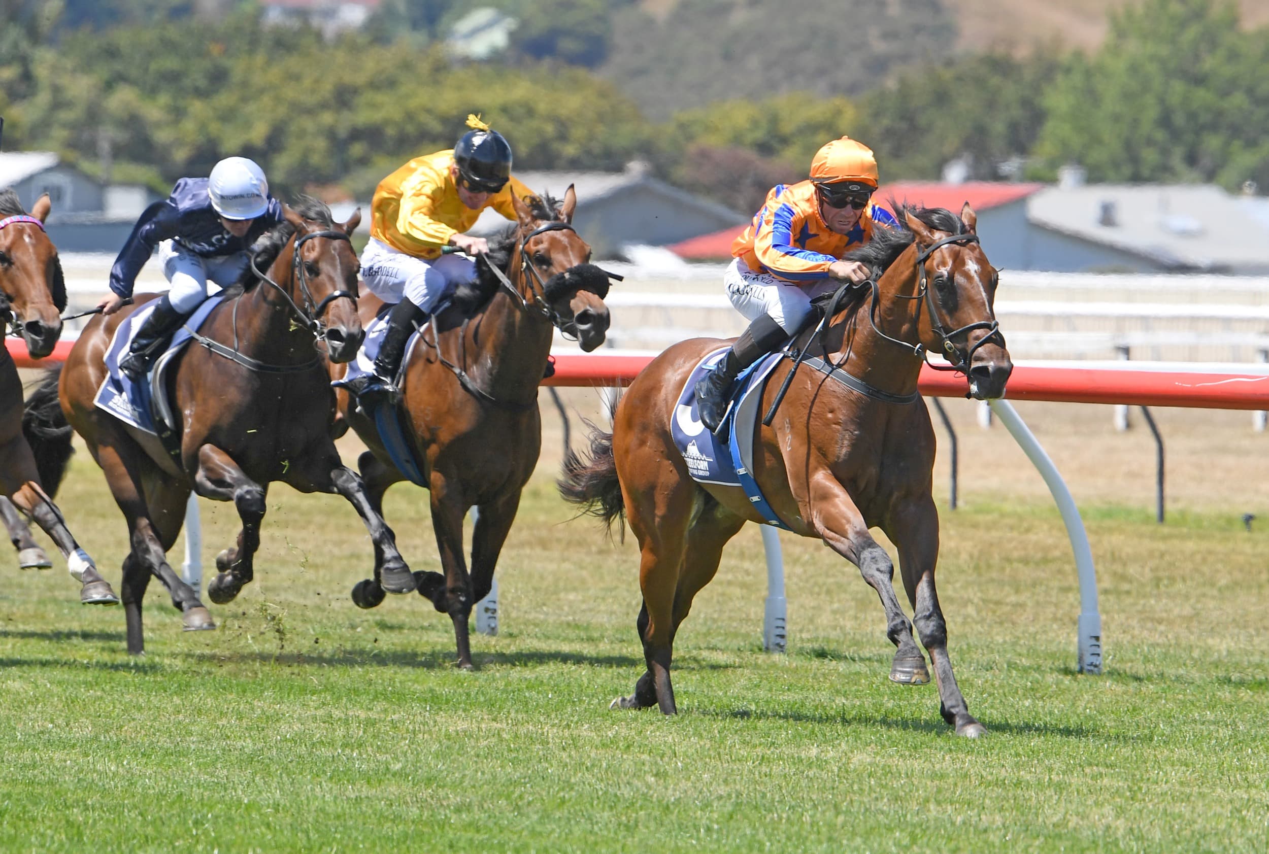 Aotearoa Classic in crosshairs for He Who Dares