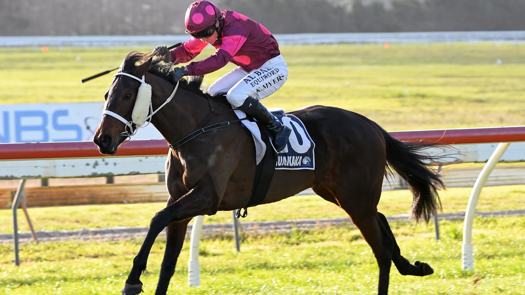 Cup Time for stable newcomer at Reefton