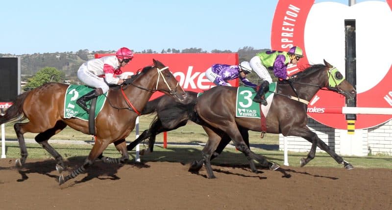 Matt Reidβs Wednesday best bets at Devonport for Cup Day (07/01)