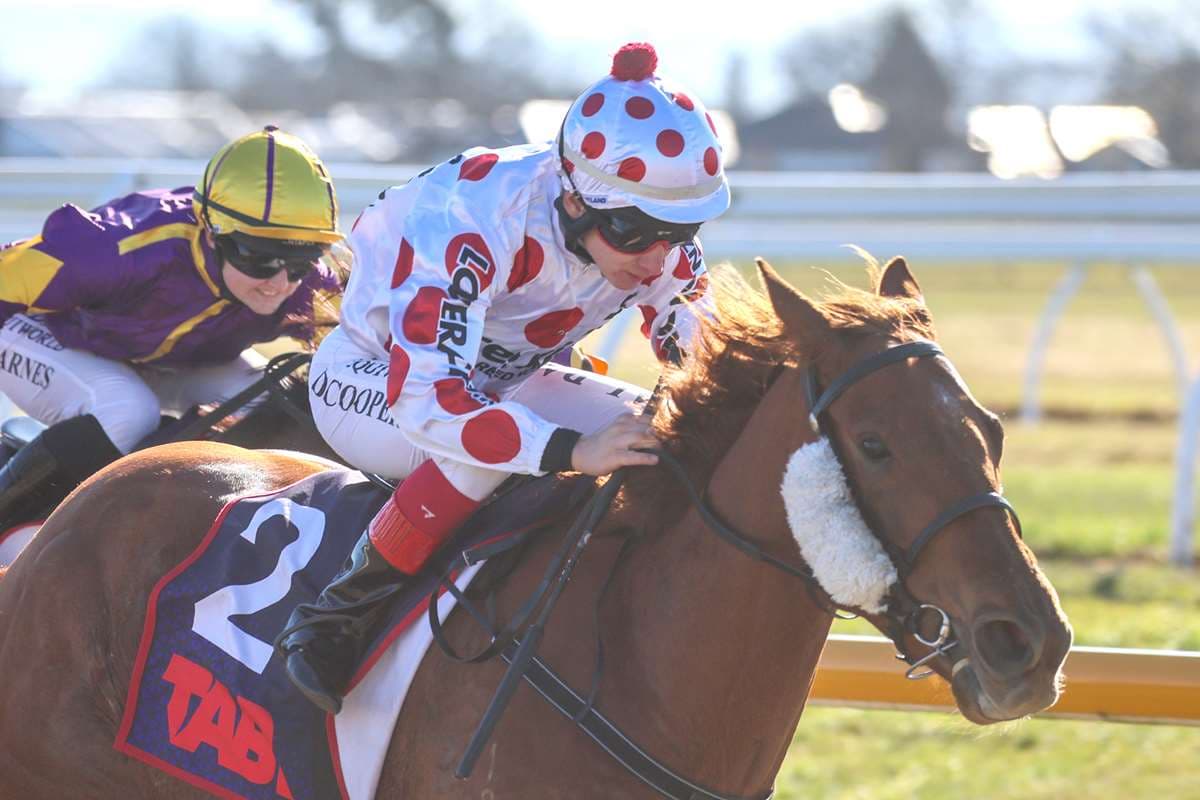 Gemma Flitz out to upset the applecart in Polytrack Final