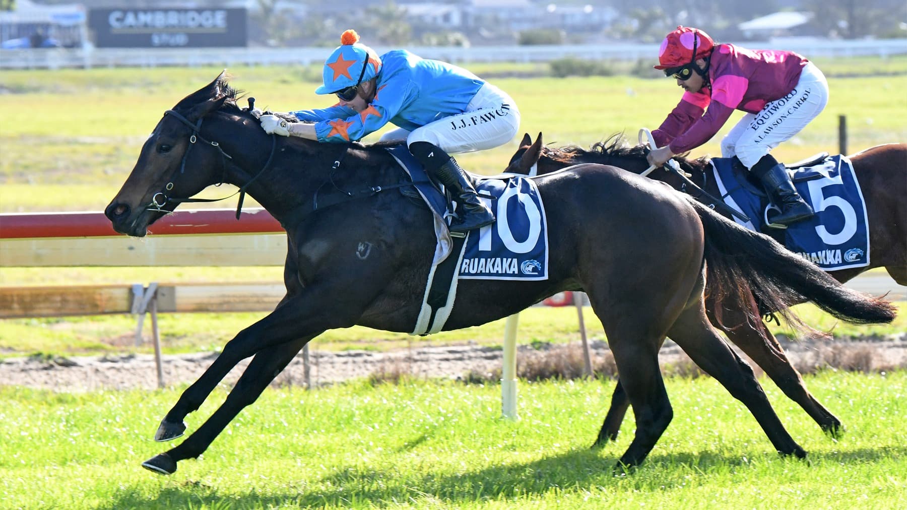 Legarto’s full sister impressive on debut