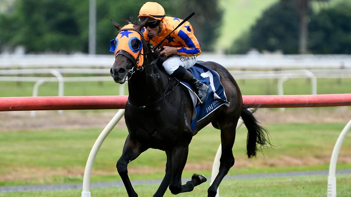 Regally-bred colt scores impressive maiden victory