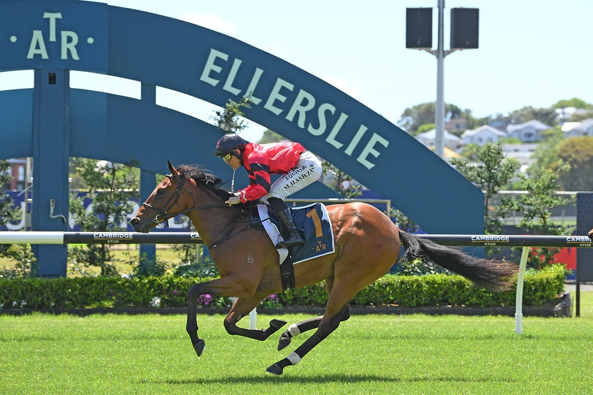Incandescent shines in Ellerslie opener