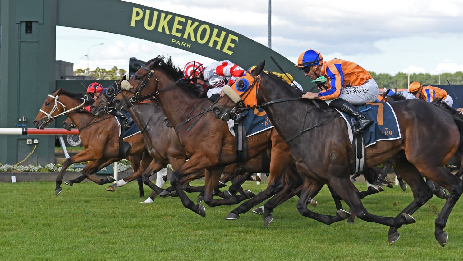 In-form stayer set for Ellerslie return