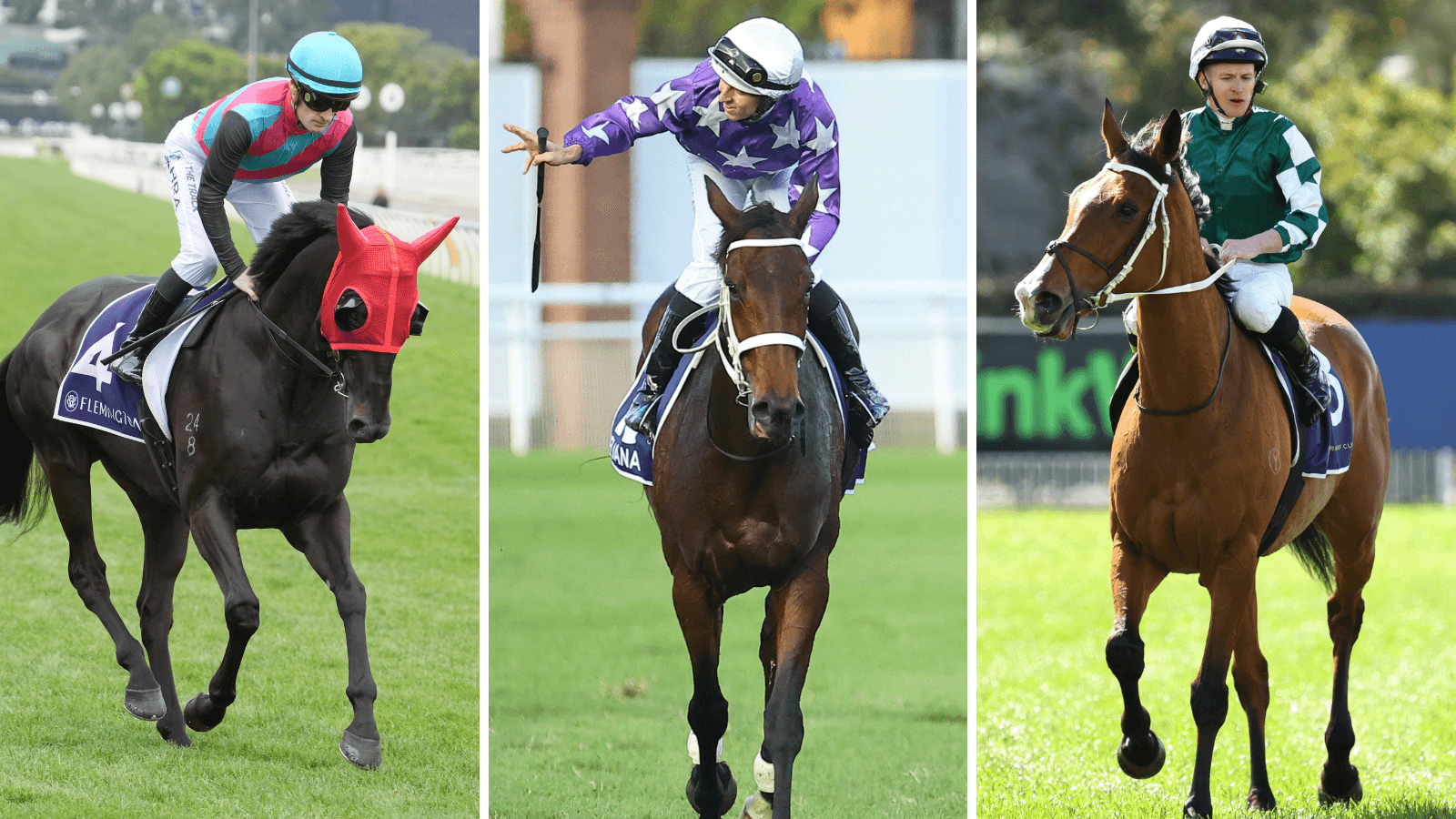 YES or NO: Which horse can win the Cox Plate?