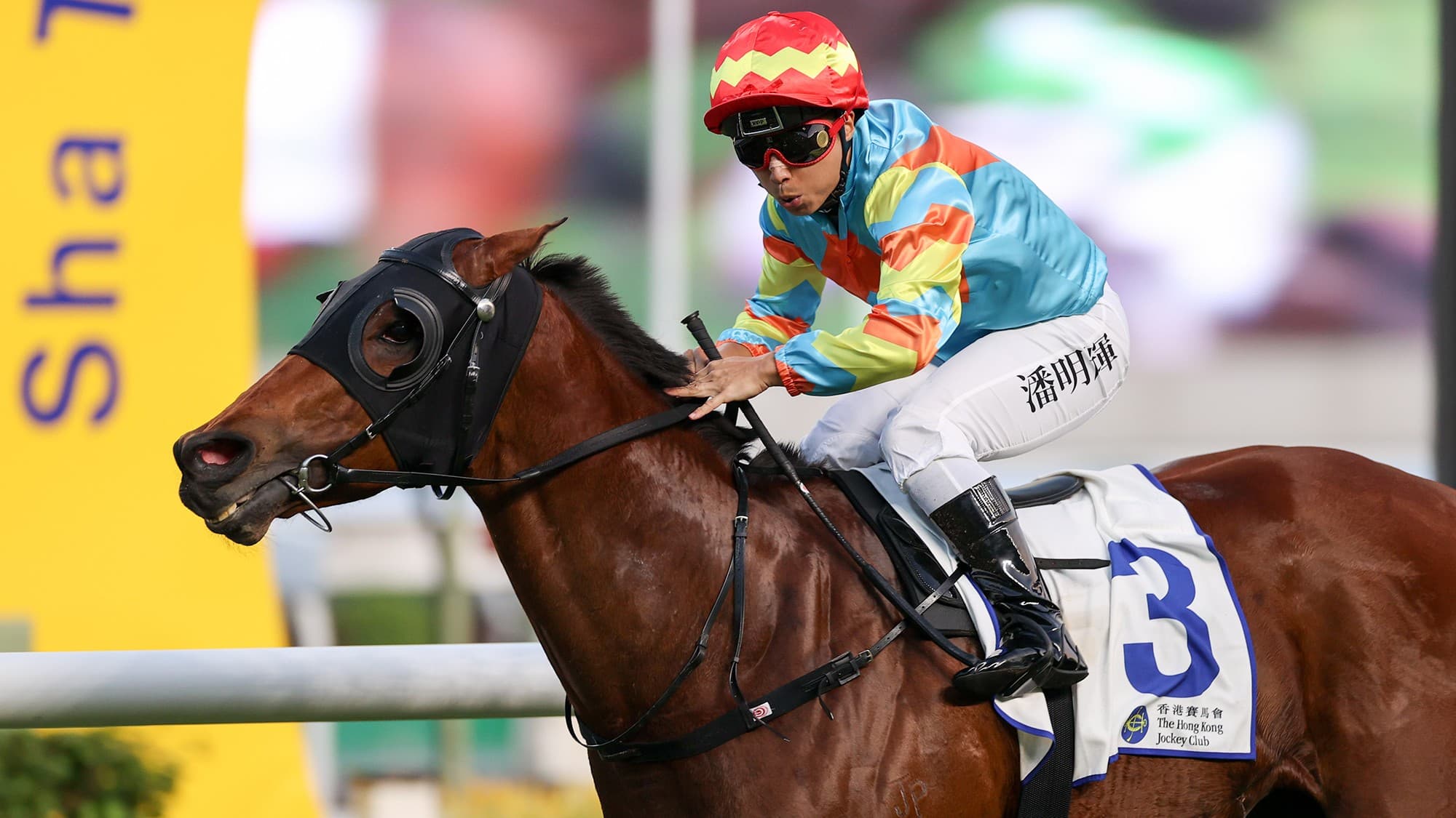 David Hall reaches 700-win milestone in Hong Kong