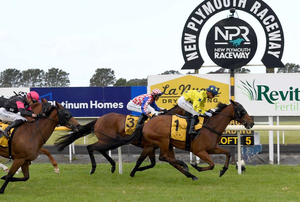 Harris team halved for Hāwera