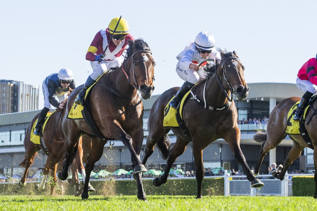 Mare overcomes adversity to hit Group heights