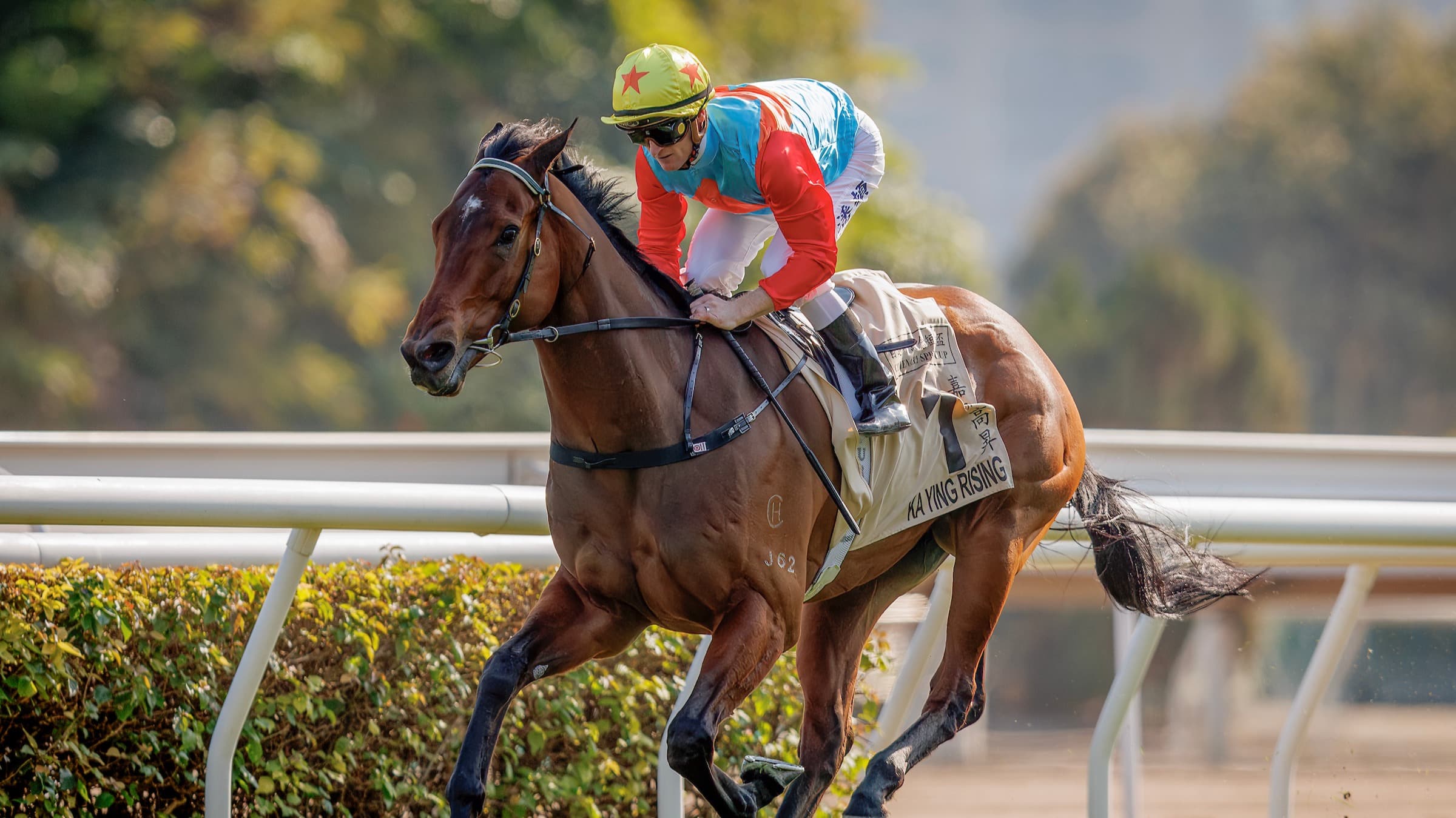 Barrier seven for Ka Ying Rising in Everest