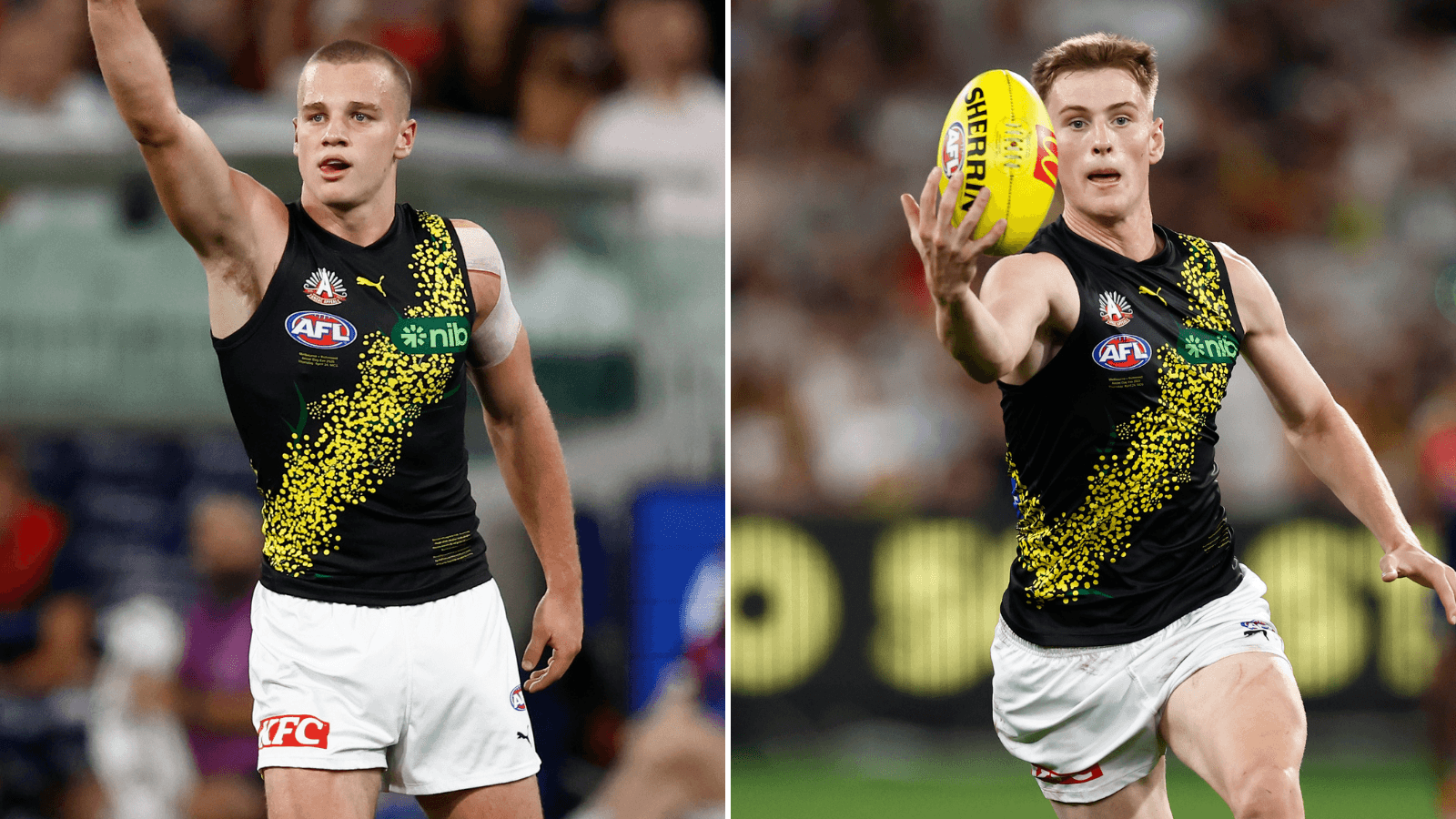 The Tiger cubs who King and Cornes are loving