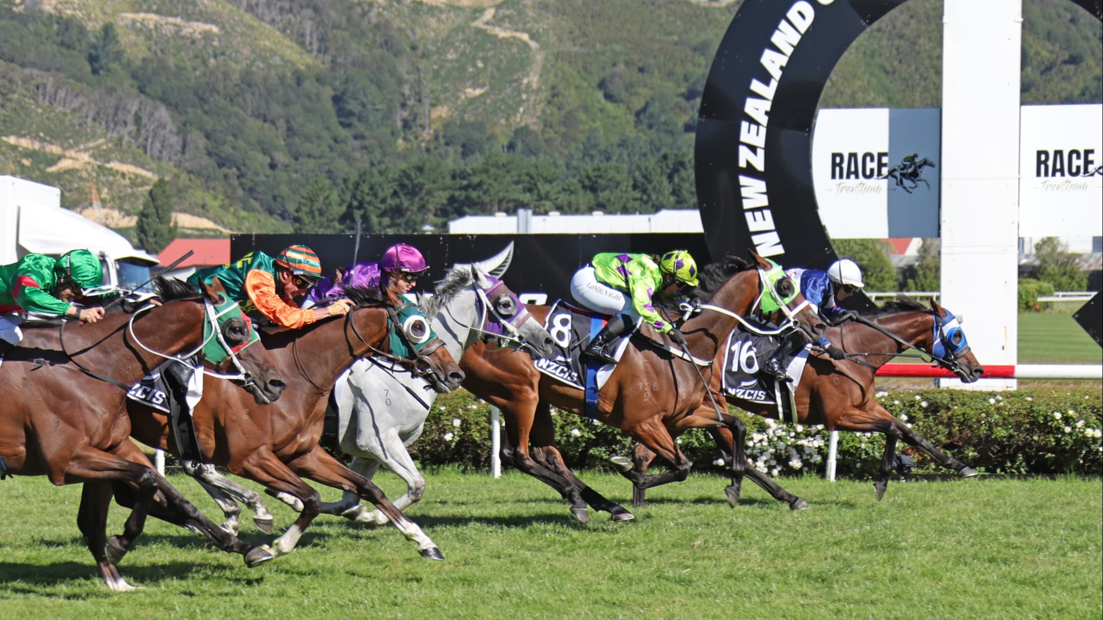 Manzor Blue to kick off Melbourne Cup preparation