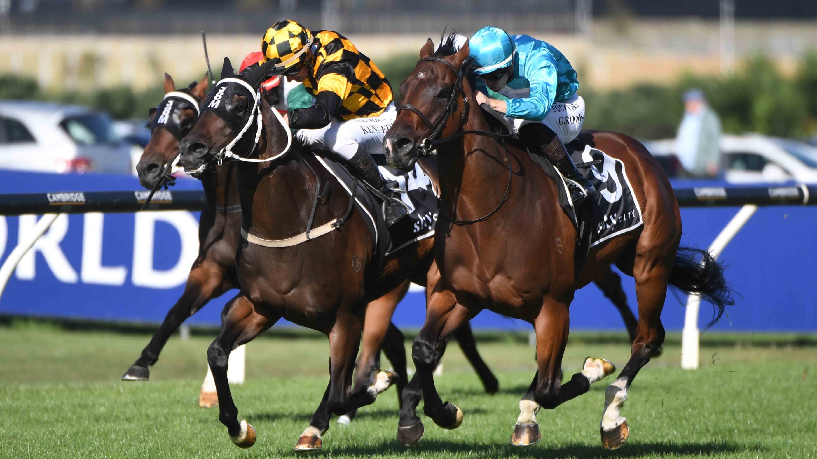 I’m All In scoops the pot at Ellerslie