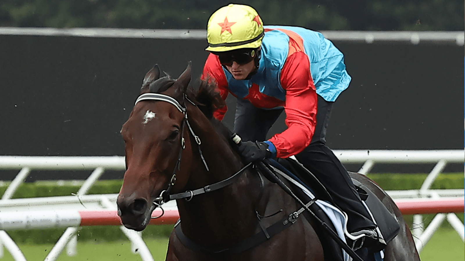 Purton: Ka Ying Rising “won’t be good enough” to win Everest if...