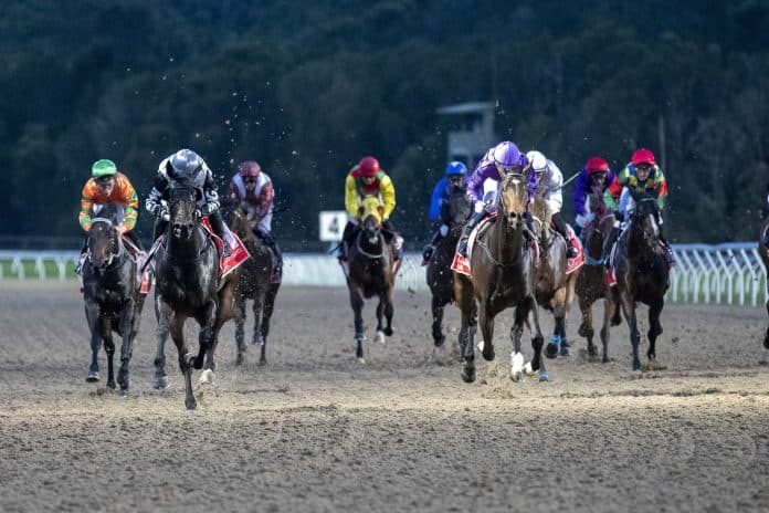 SENTrack: Sunday best bets from David Taggart & Miles Pfitzner (25/05)