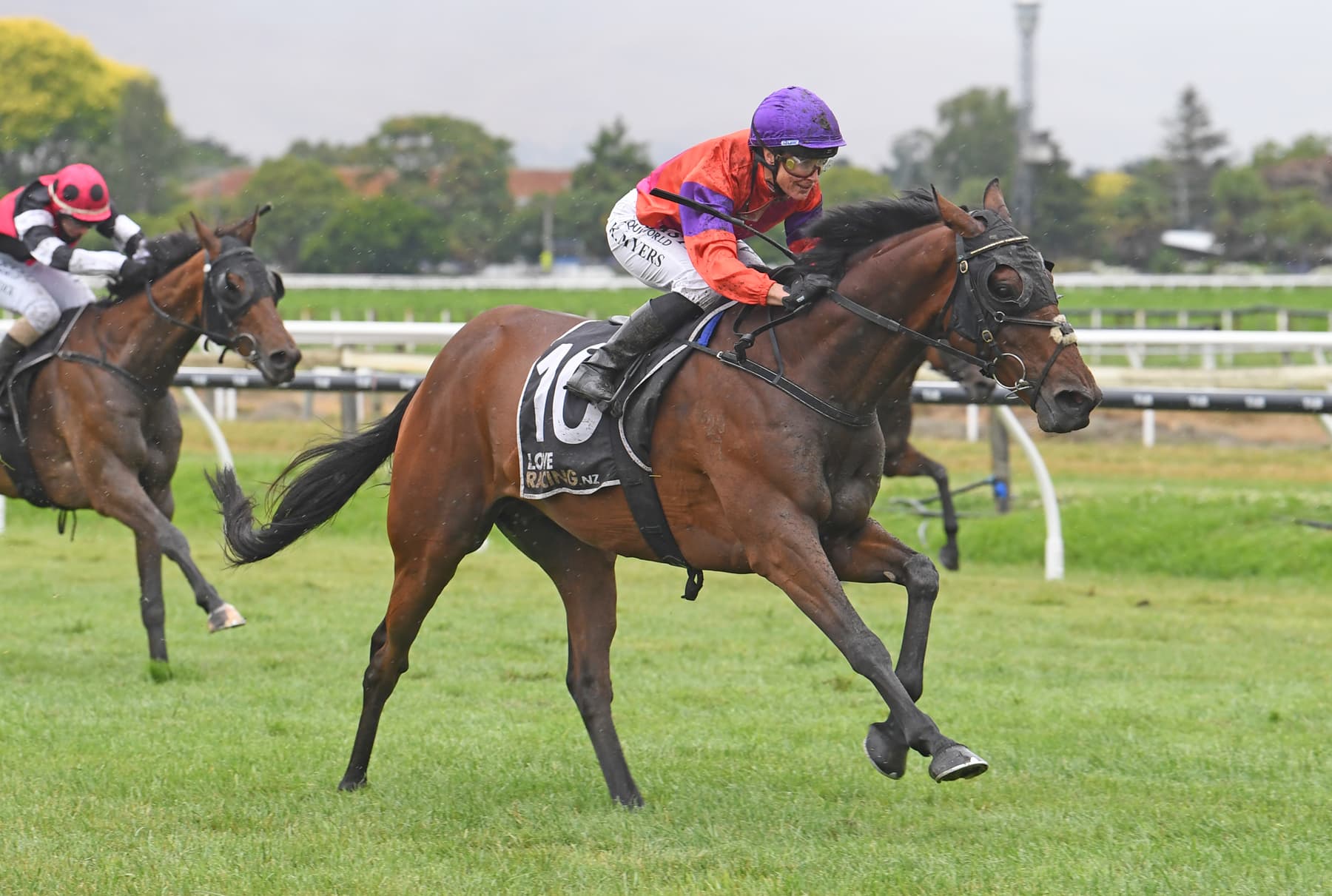 Canheroc to make stable debut for Pitmans