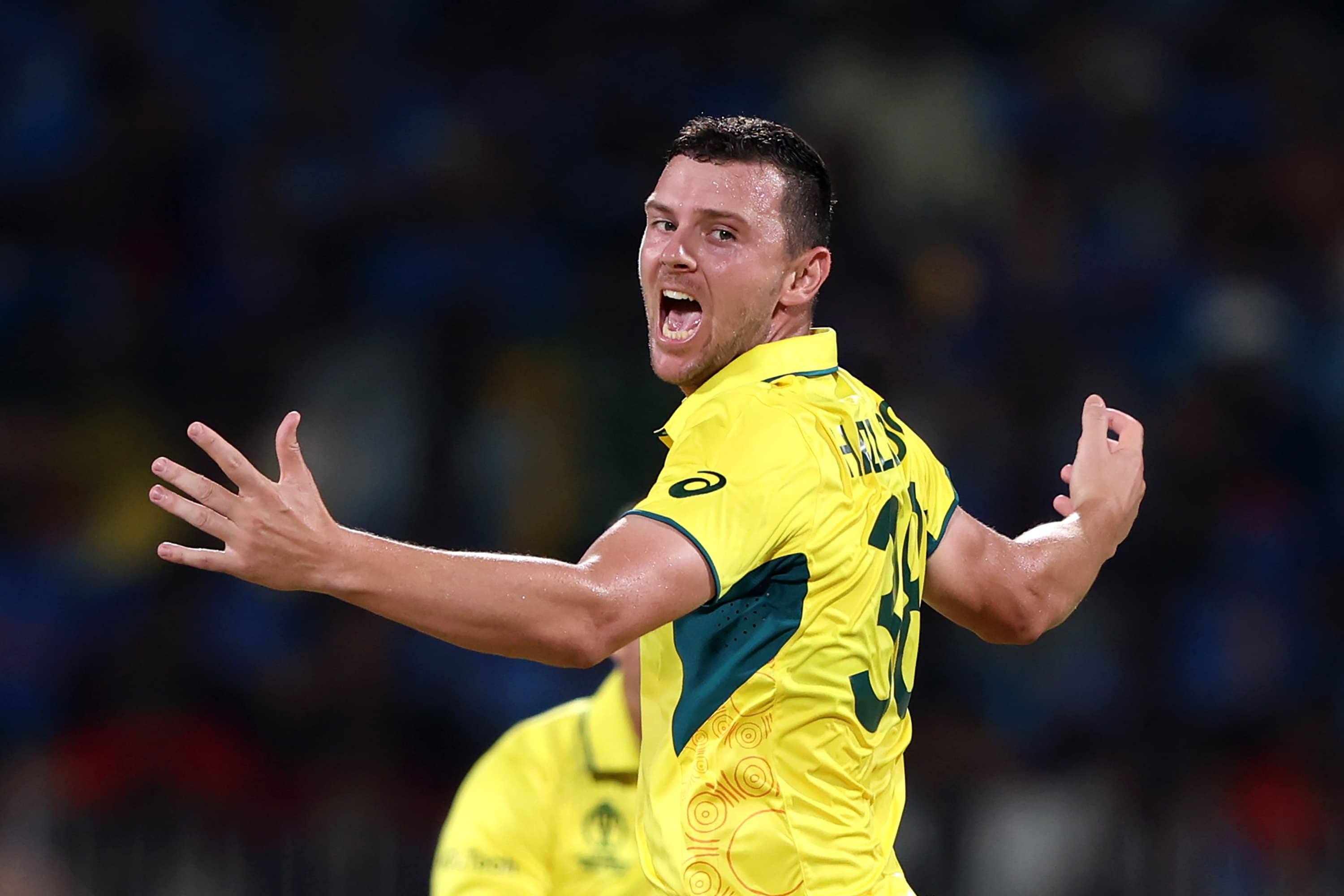 Cummins and Hazlewood named in 15-man Aussie T20 World Cup squad