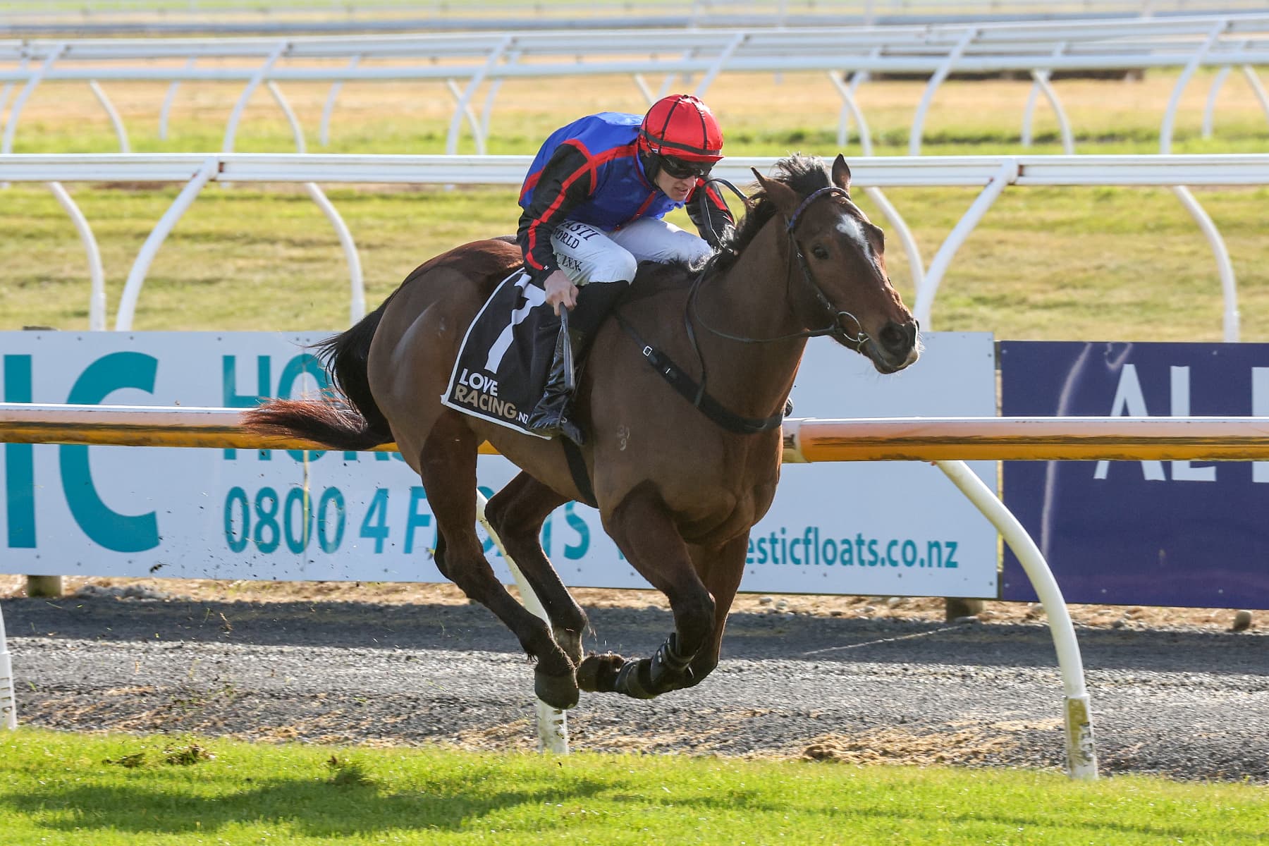 Affordable takes first Riccarton jumps feature
