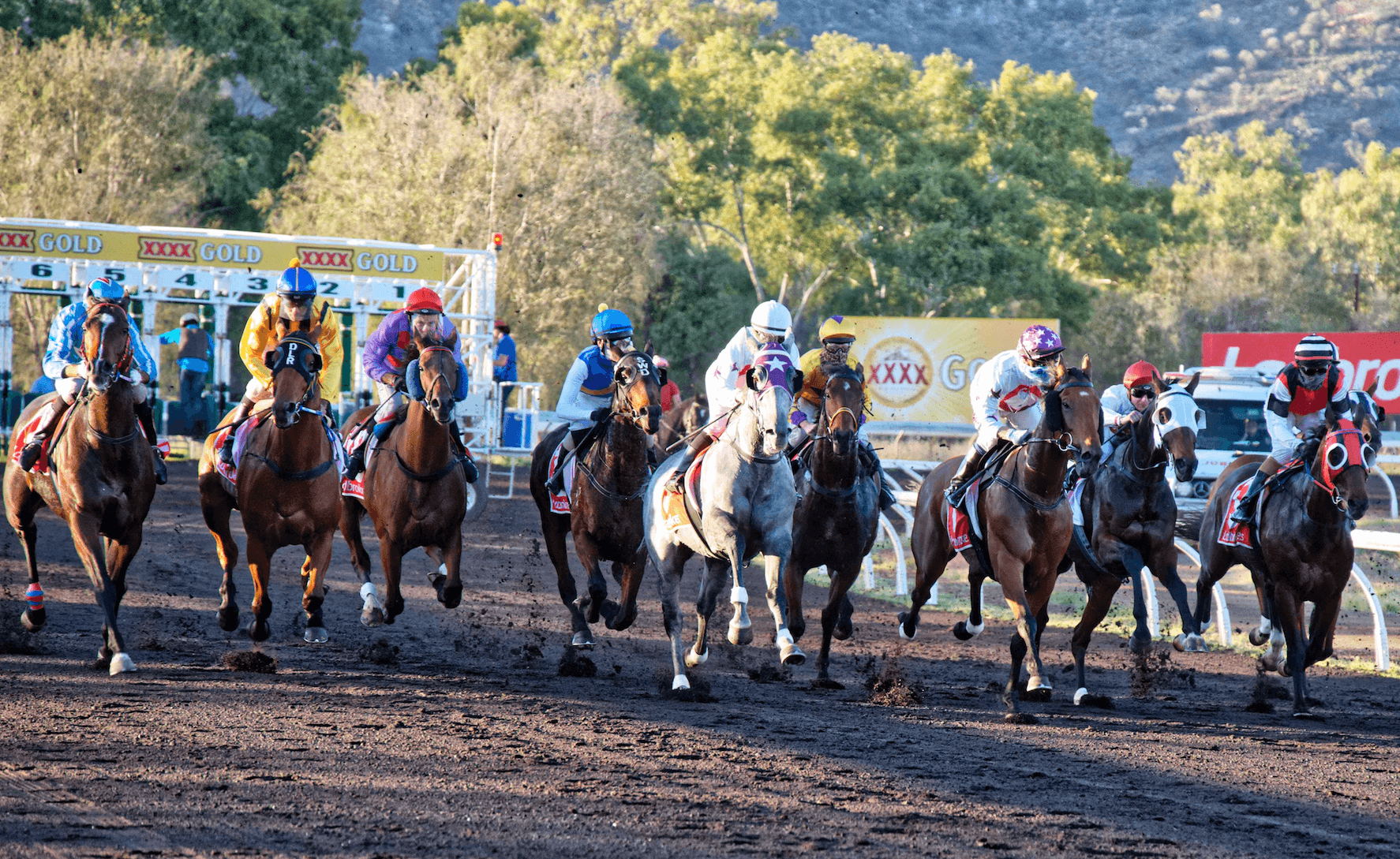 SENTrack: Andrew O’Toole’s Saturday best bets at Alice Springs (23/11)
